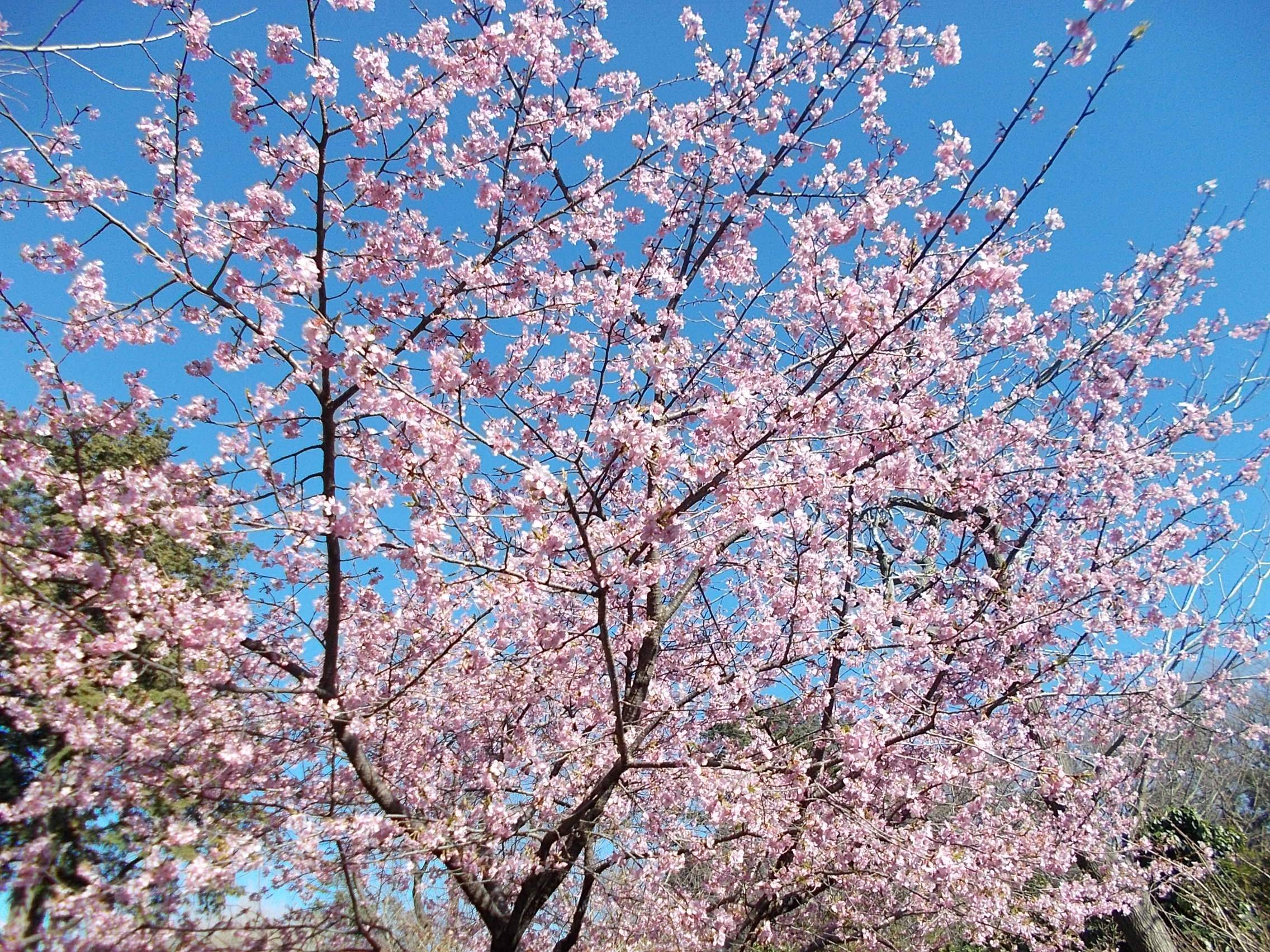 DSCN8559.jpg