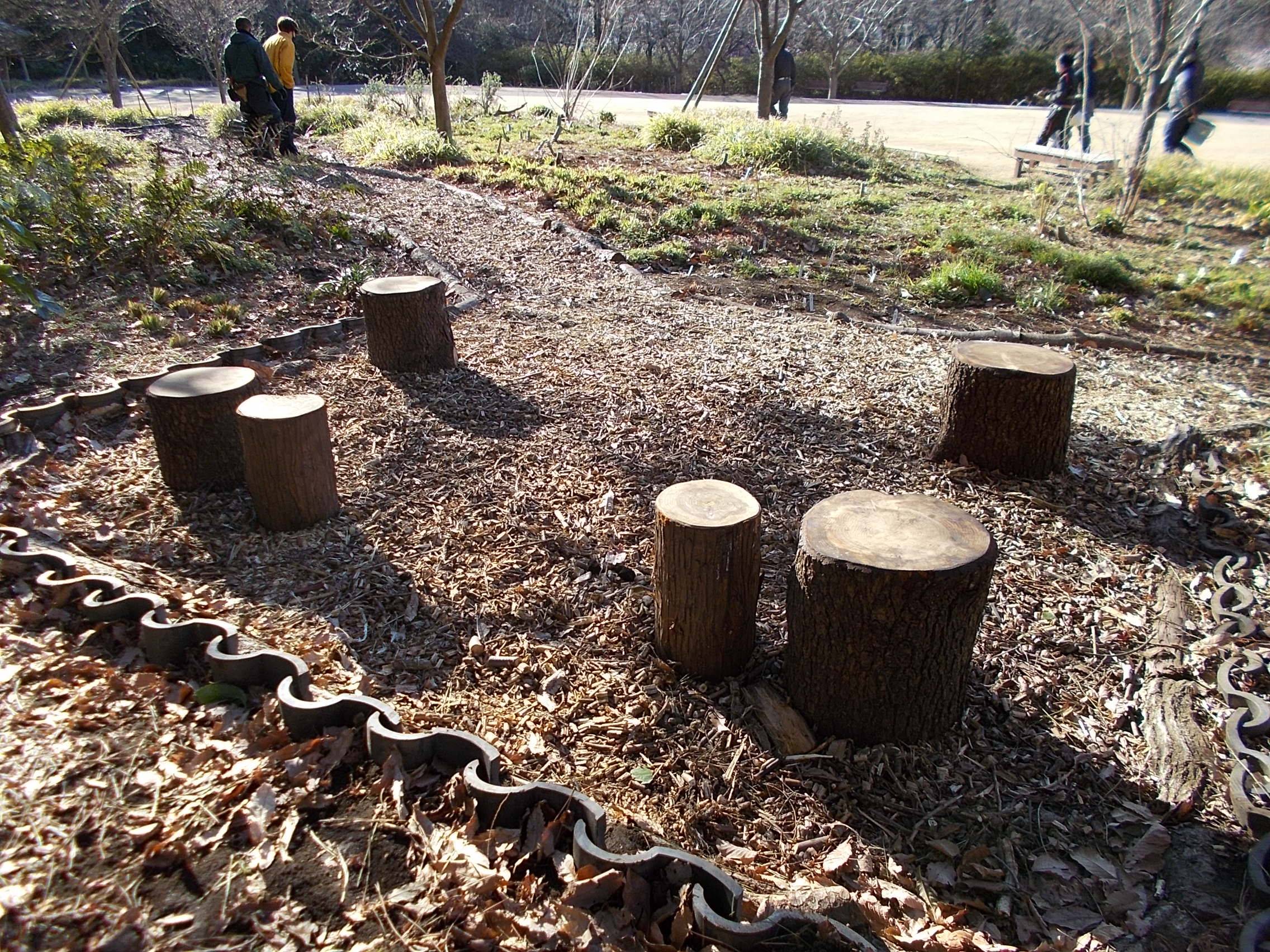 DSCN8568.jpg