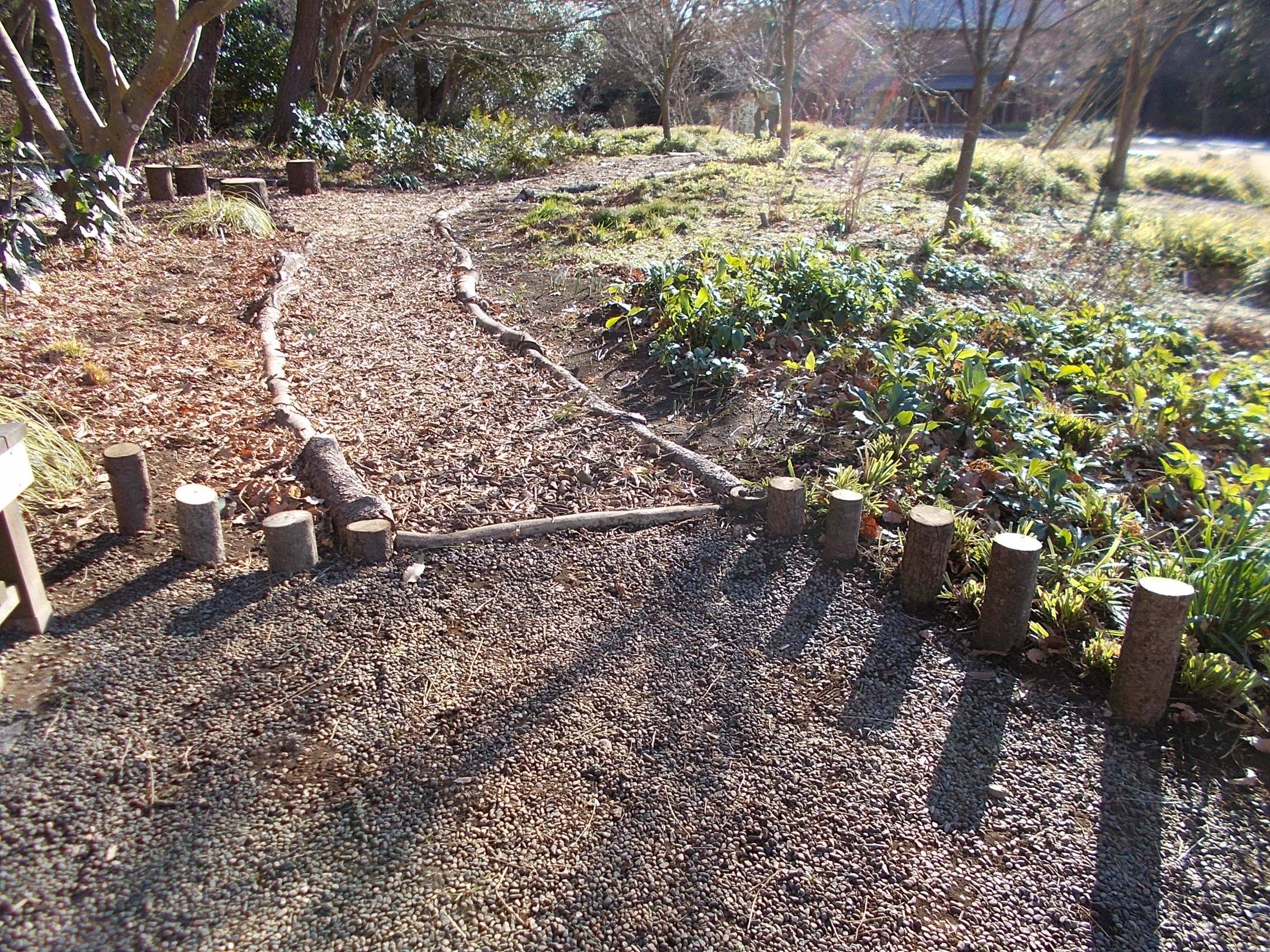 DSCN8570.jpg