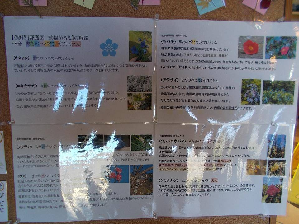 DSCN8577.jpg