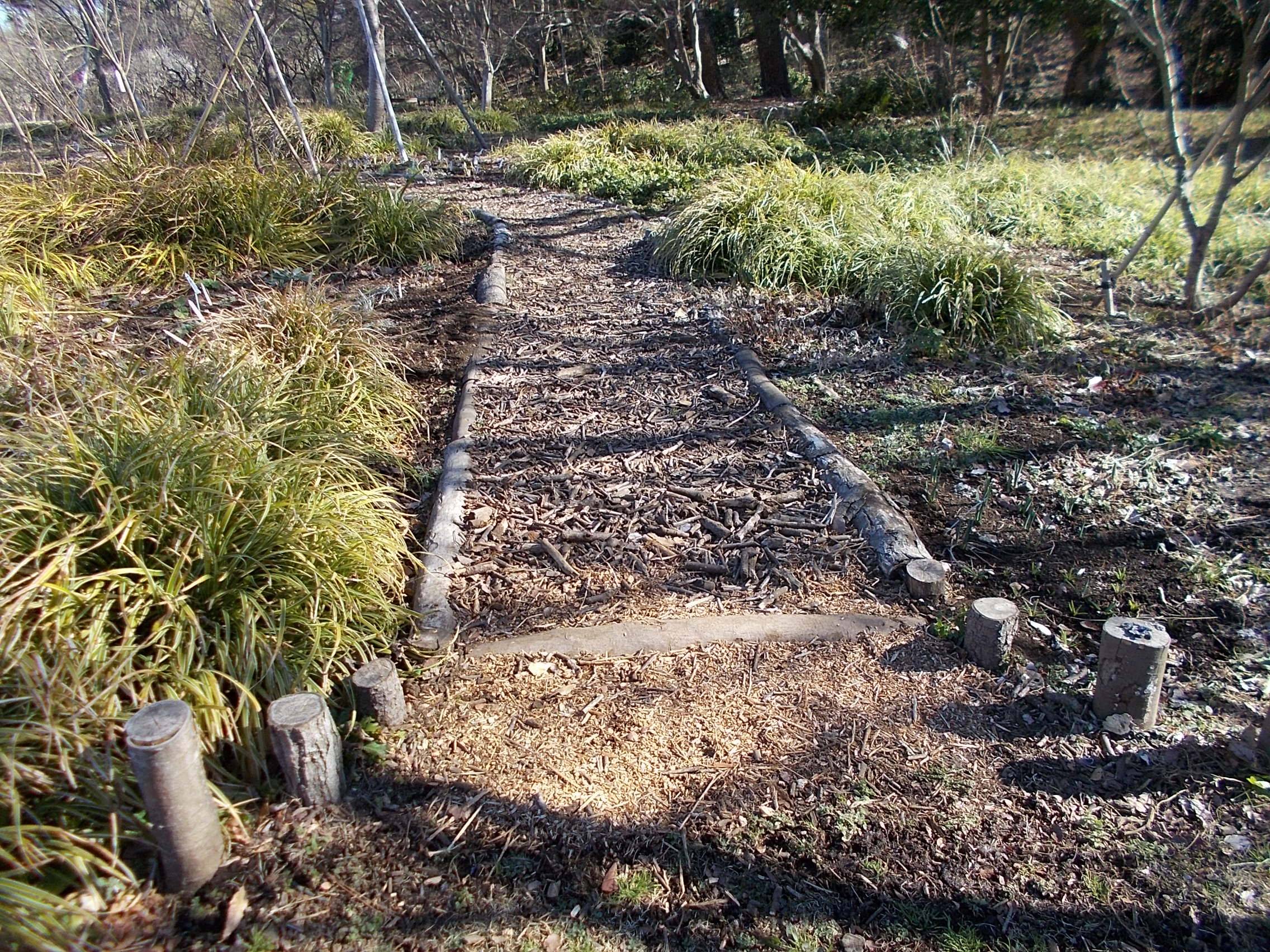 DSCN8578.jpg
