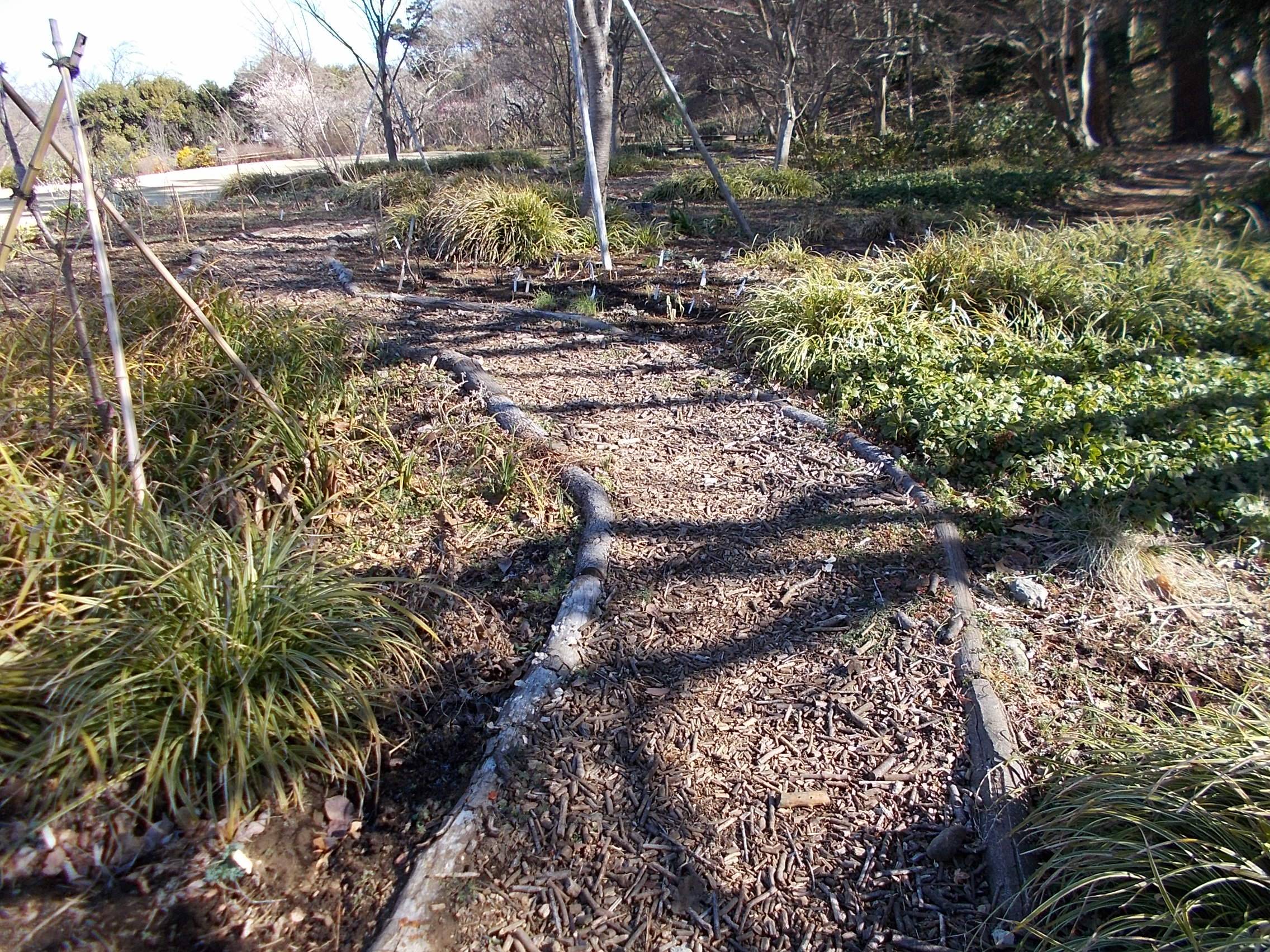 DSCN8579.jpg