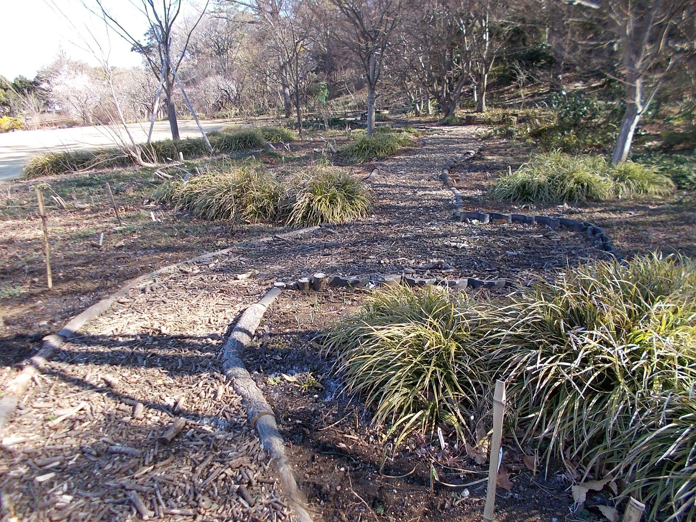 DSCN8580.jpg