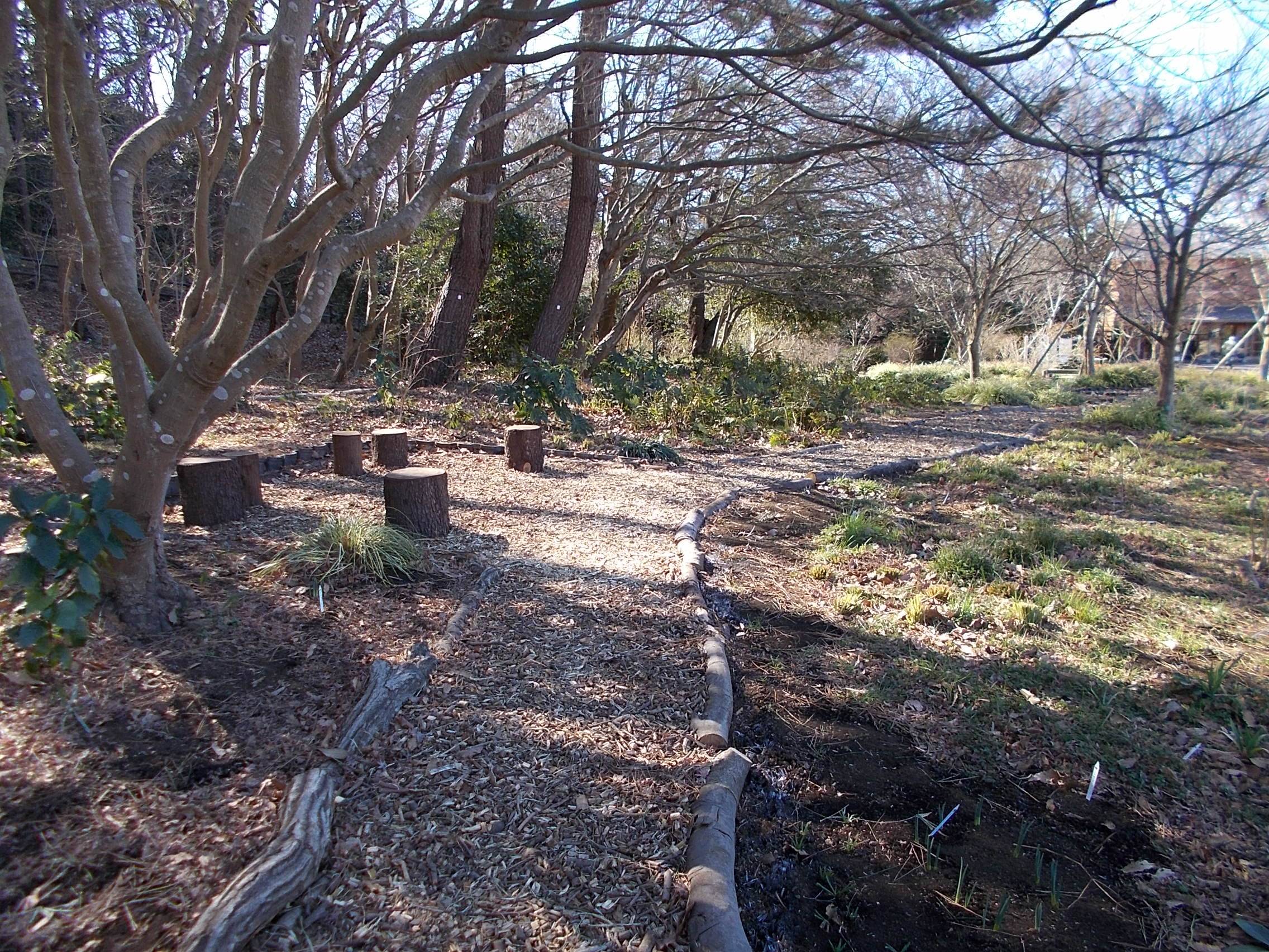 DSCN8588.jpg