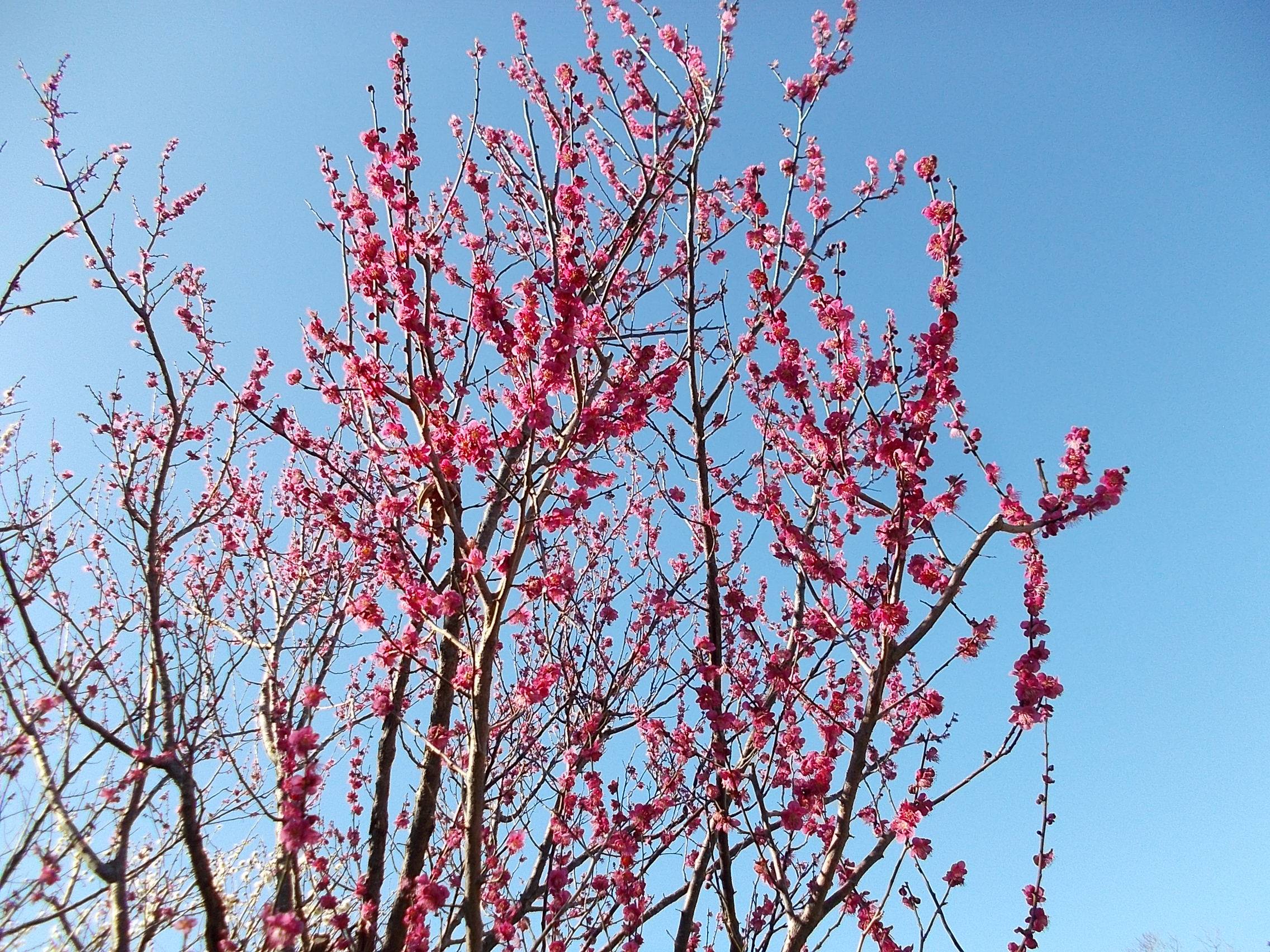 DSCN8598.jpg