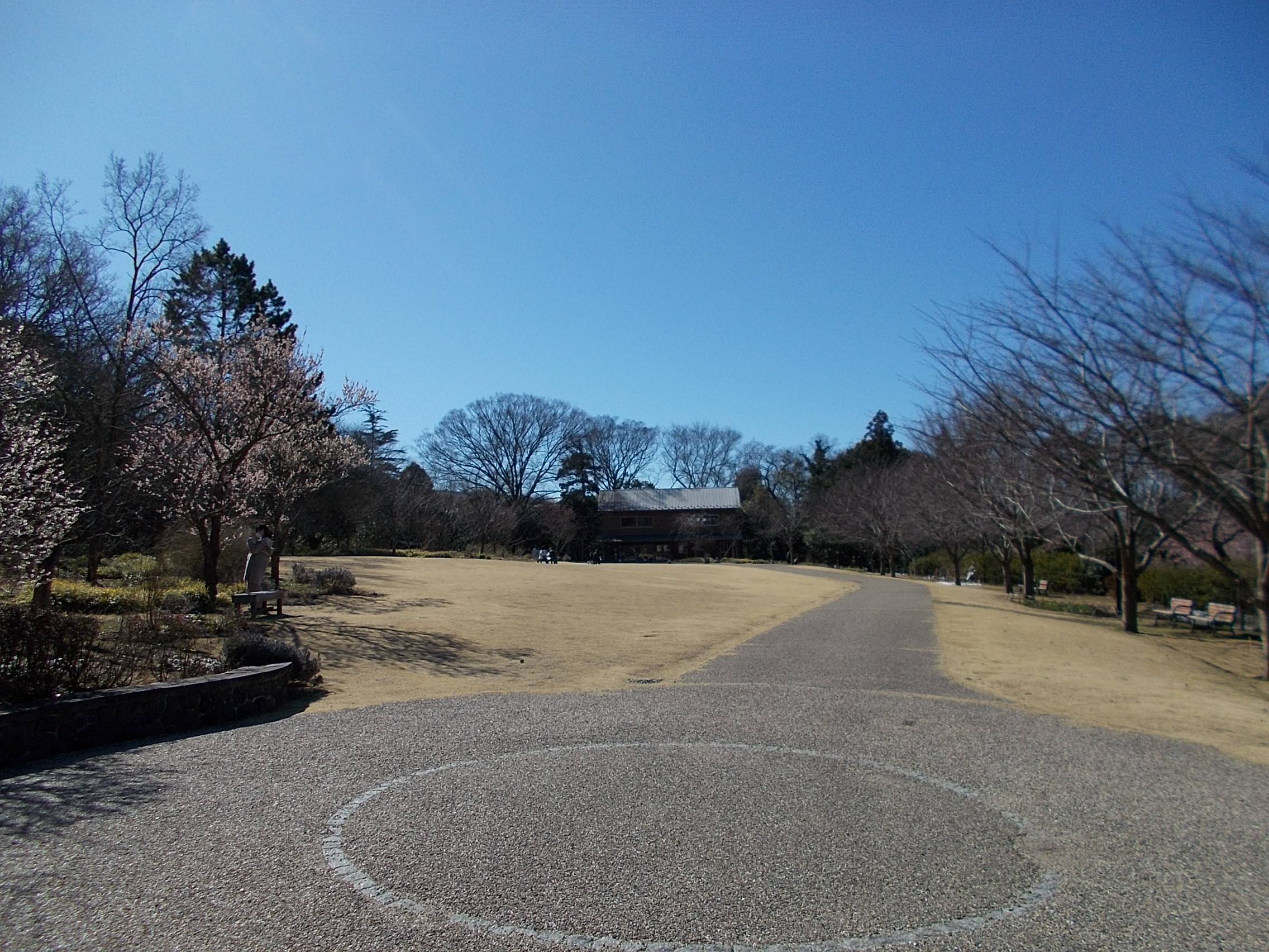 DSCN8610.jpg