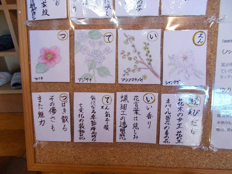 DSCN8611.jpg