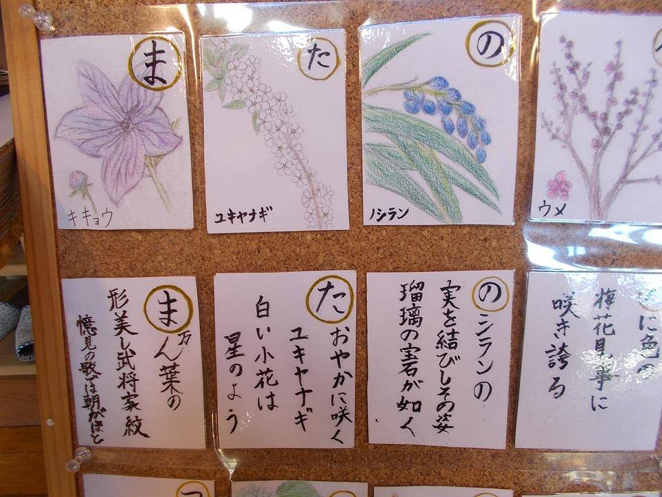 DSCN8612.jpg