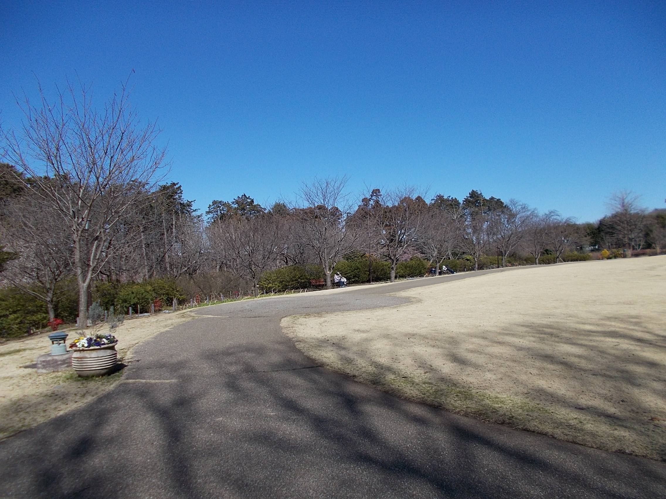 DSCN8620.jpg