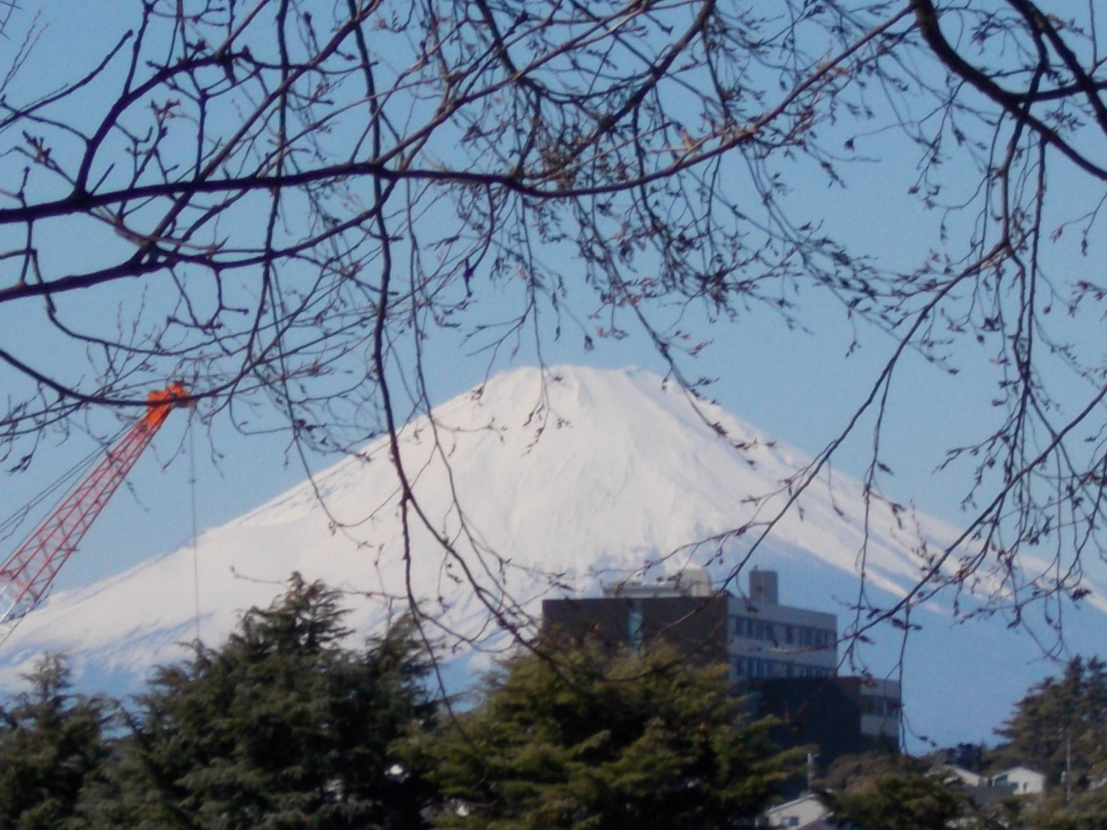 DSCN8623.jpg
