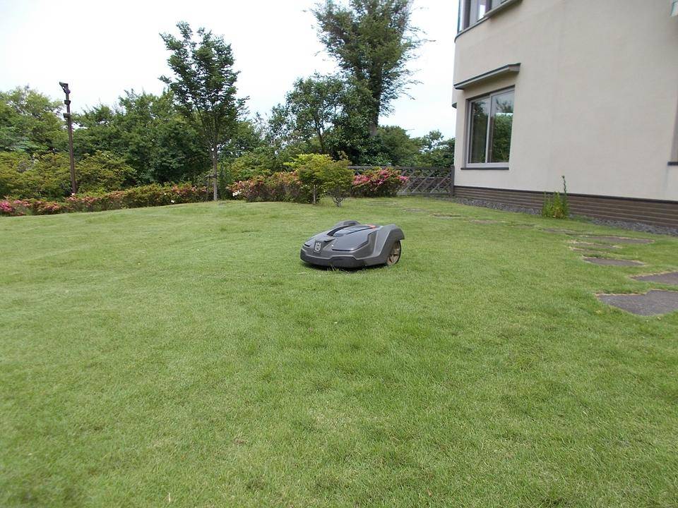 DSCN9882.jpg