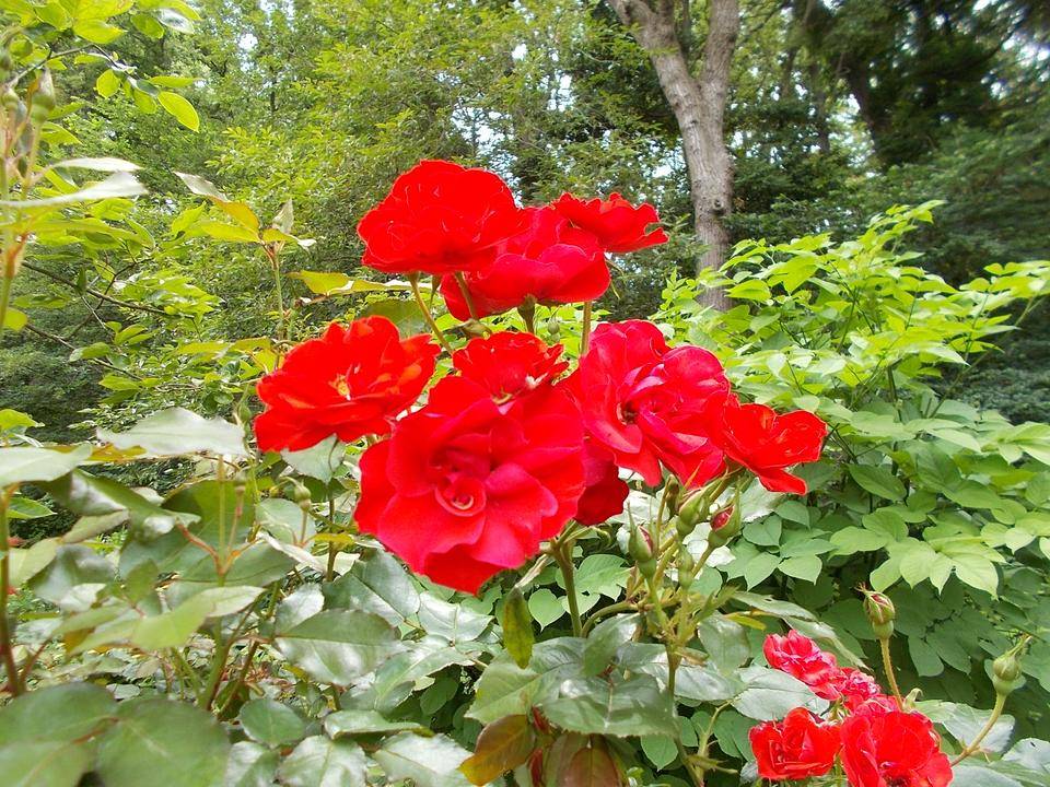 DSCN9894.jpg