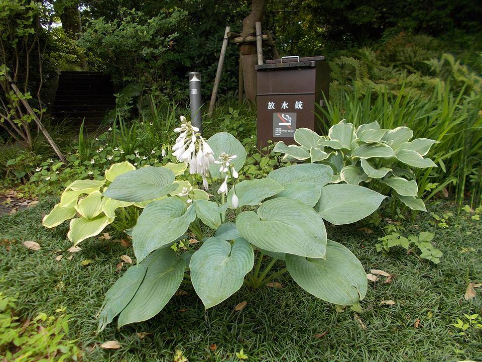 DSCN9912.jpg