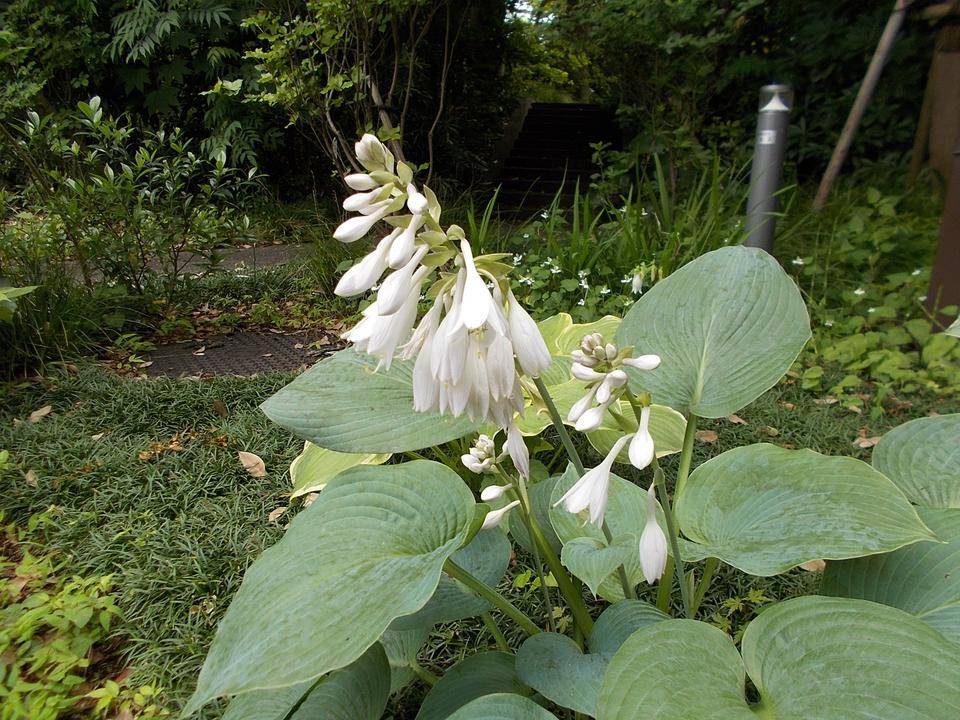DSCN9913.jpg