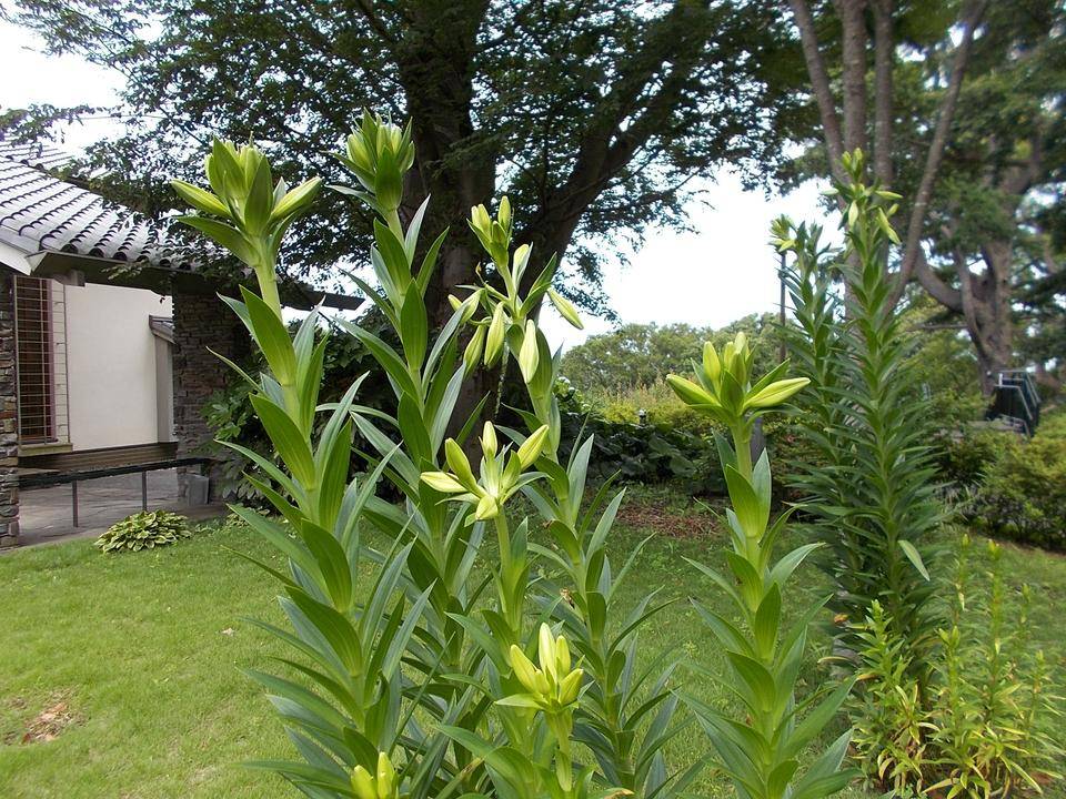 DSCN9916.jpg