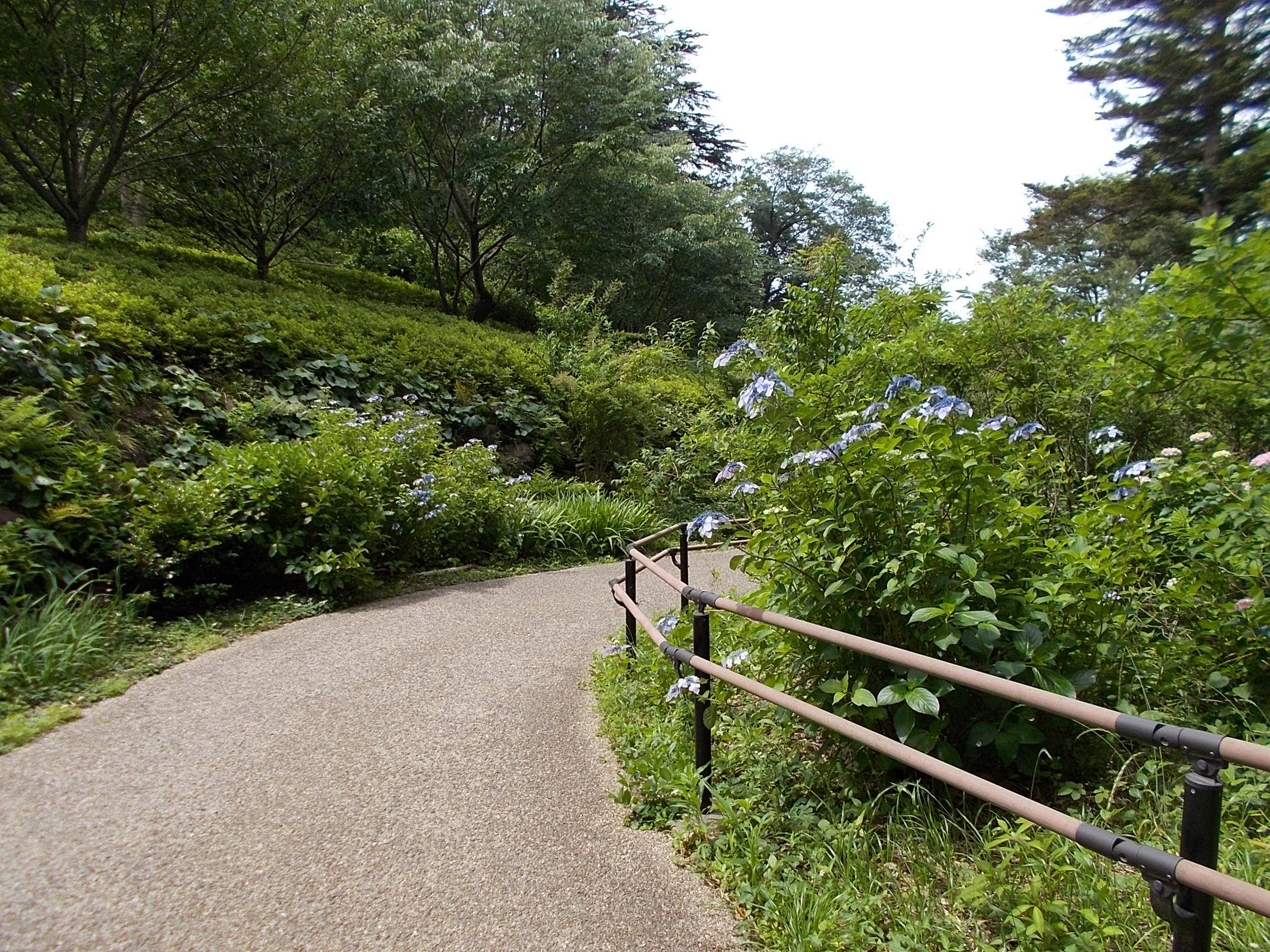 DSCN9920.jpg
