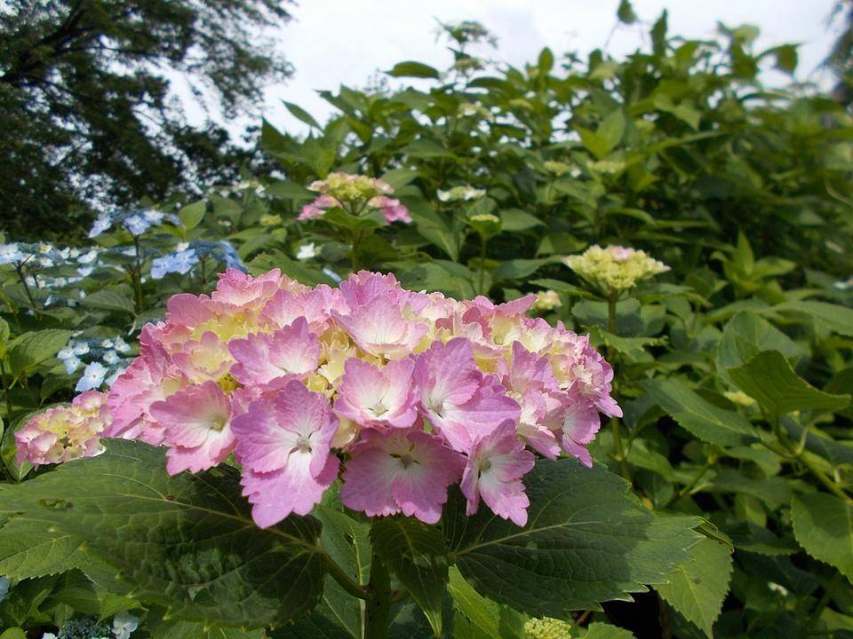 DSCN9928.jpg