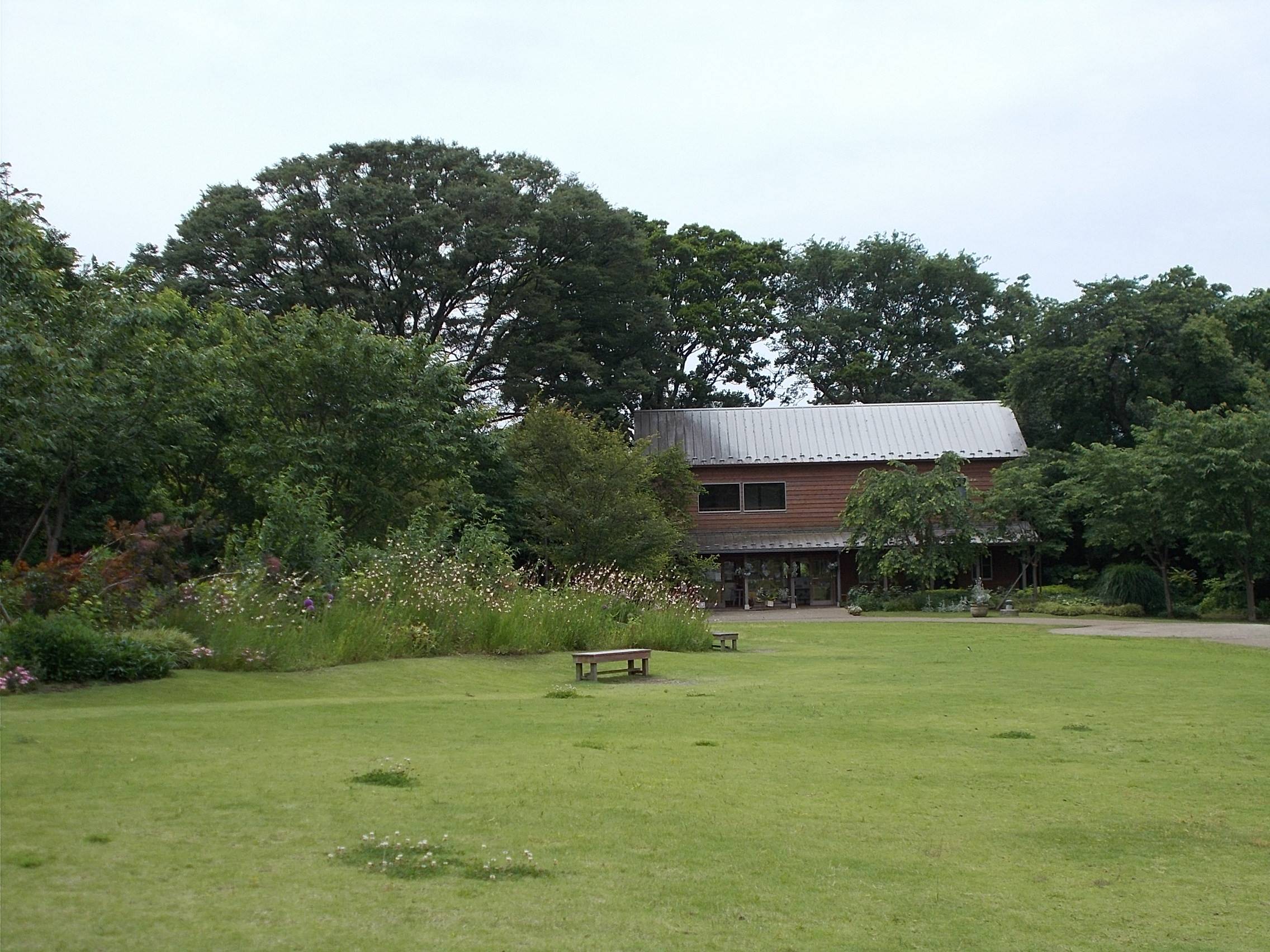 DSCN9937.jpg