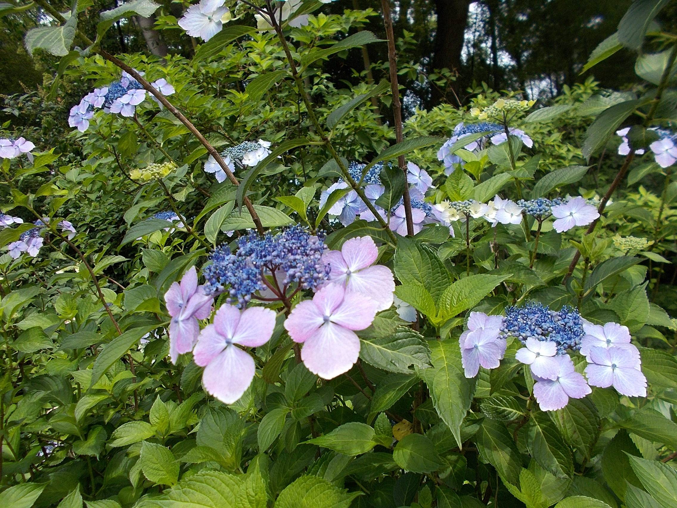 DSCN9948.jpg