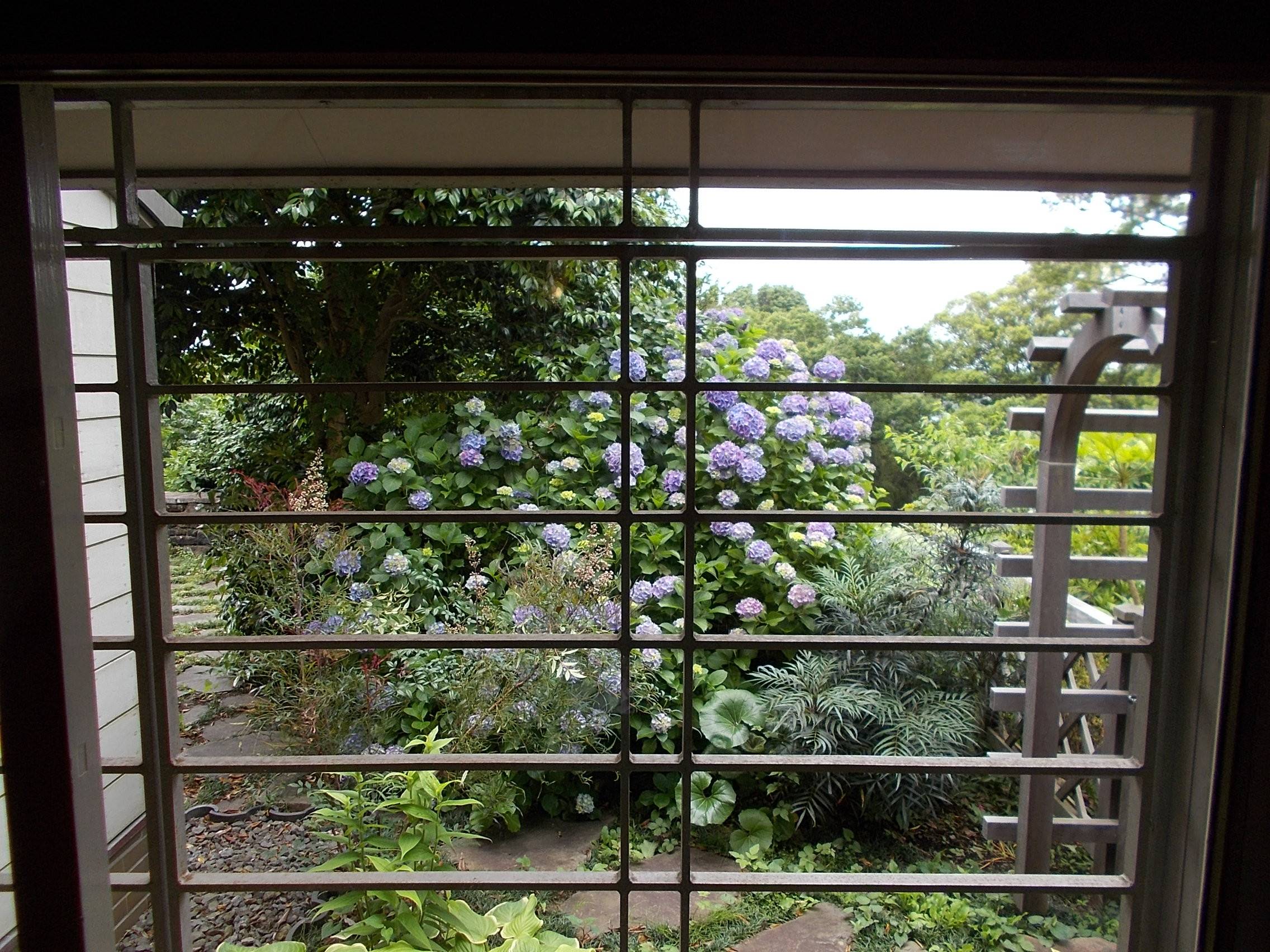 DSCN9951.jpg