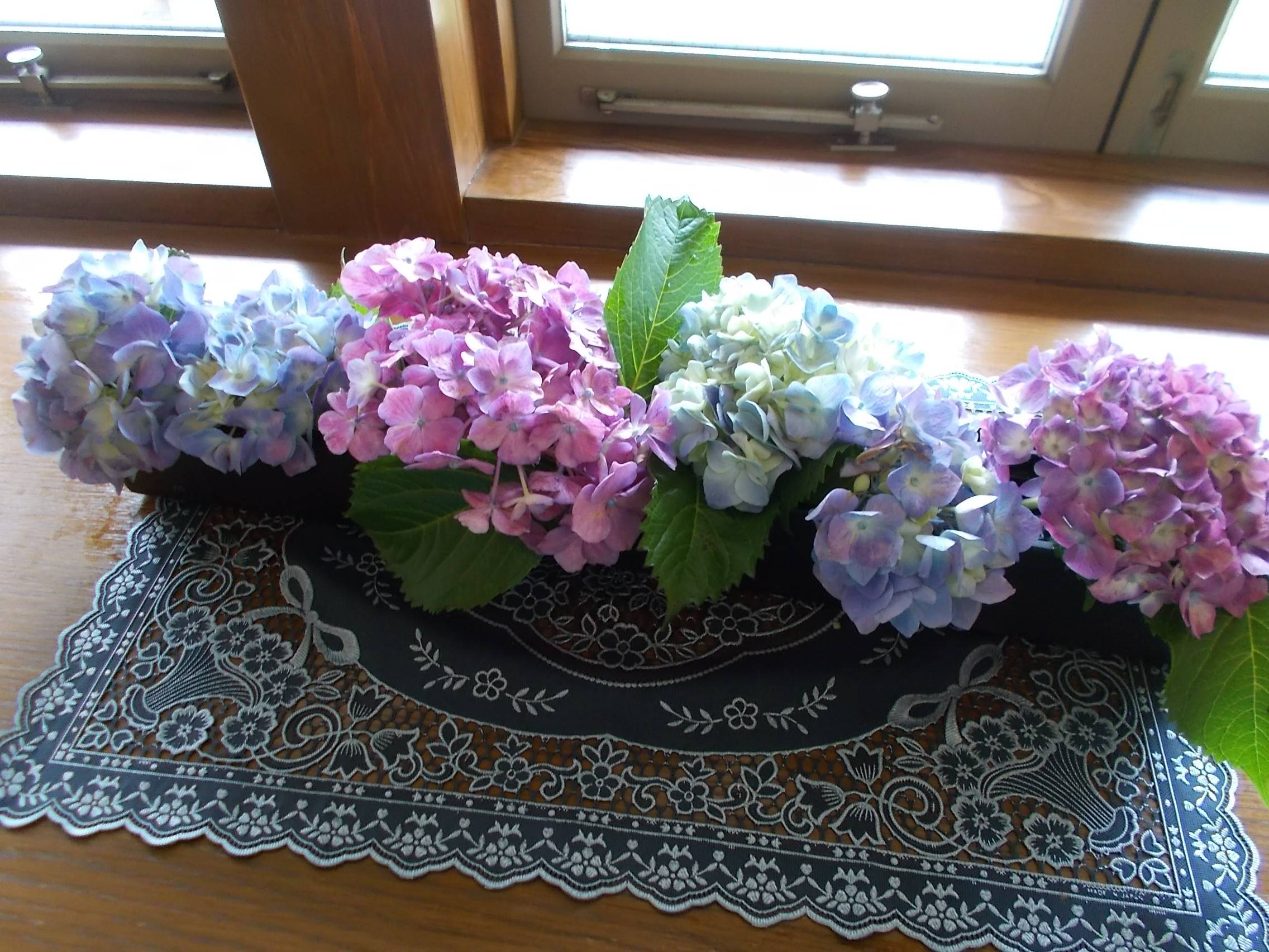 DSCN9962.jpg