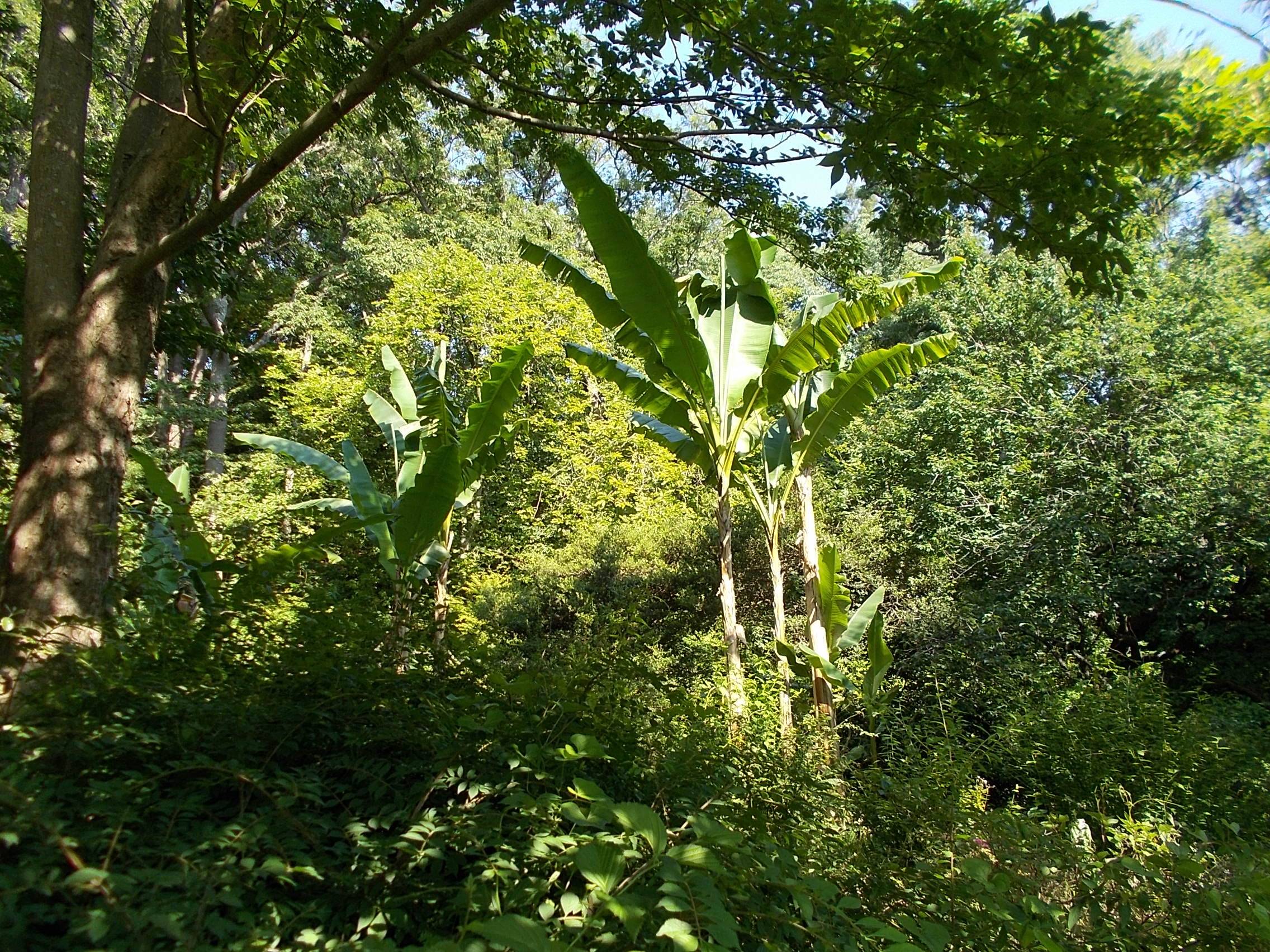DSCN9972.jpg