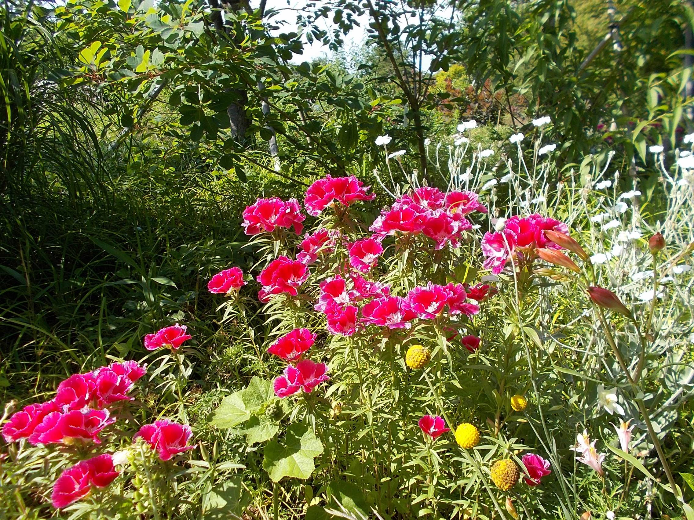 DSCN9975.jpg
