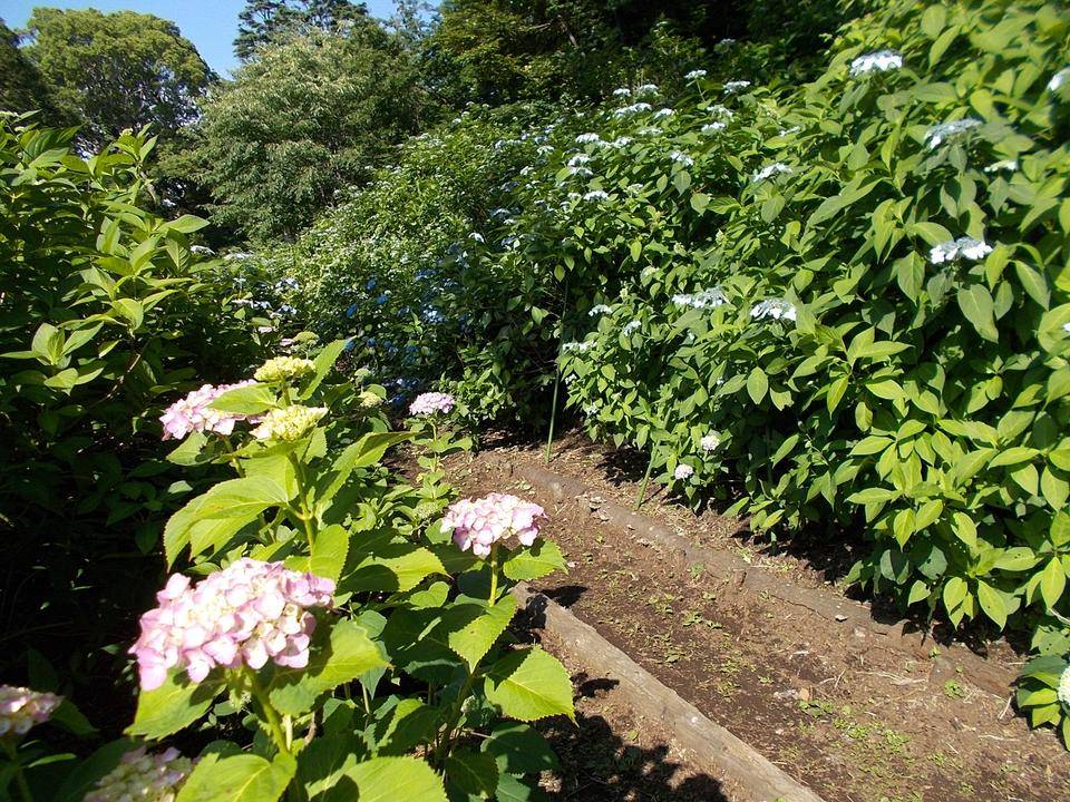 DSCN9981.jpg