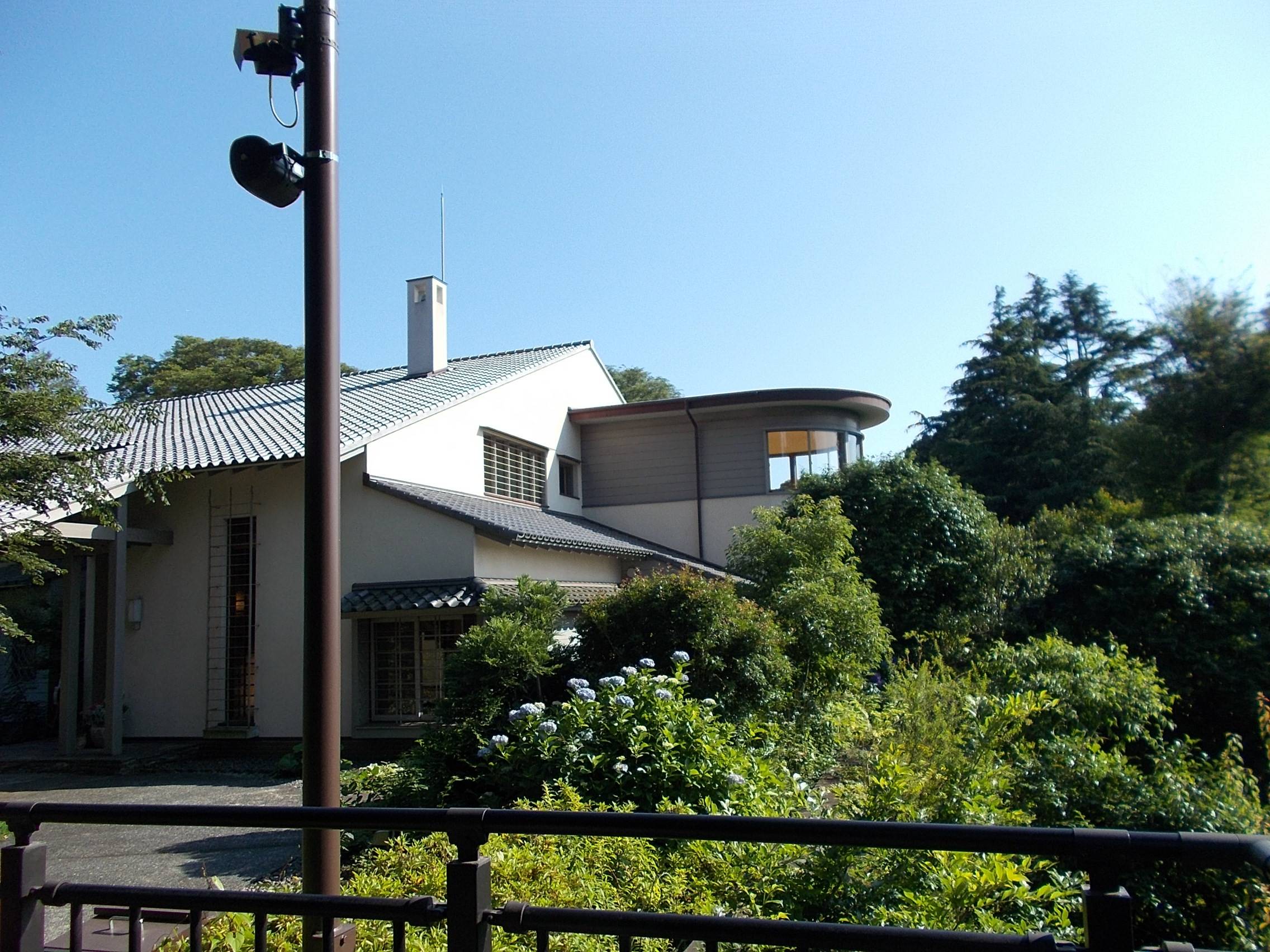 DSCN9989.jpg