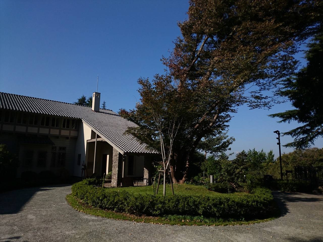 /park/matanobettei/authora8510/DSC_2648_R.jpg