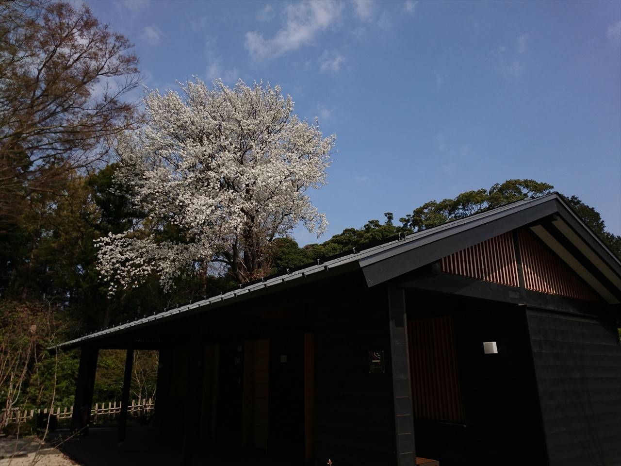 /park/matanobettei/authora8510/DSC_3193_R.jpg
