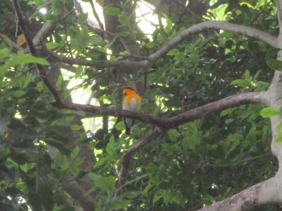 IMG_5769.jpg