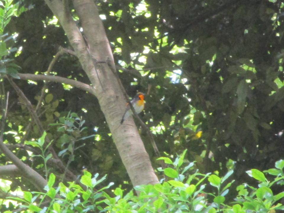IMG_5812.jpg