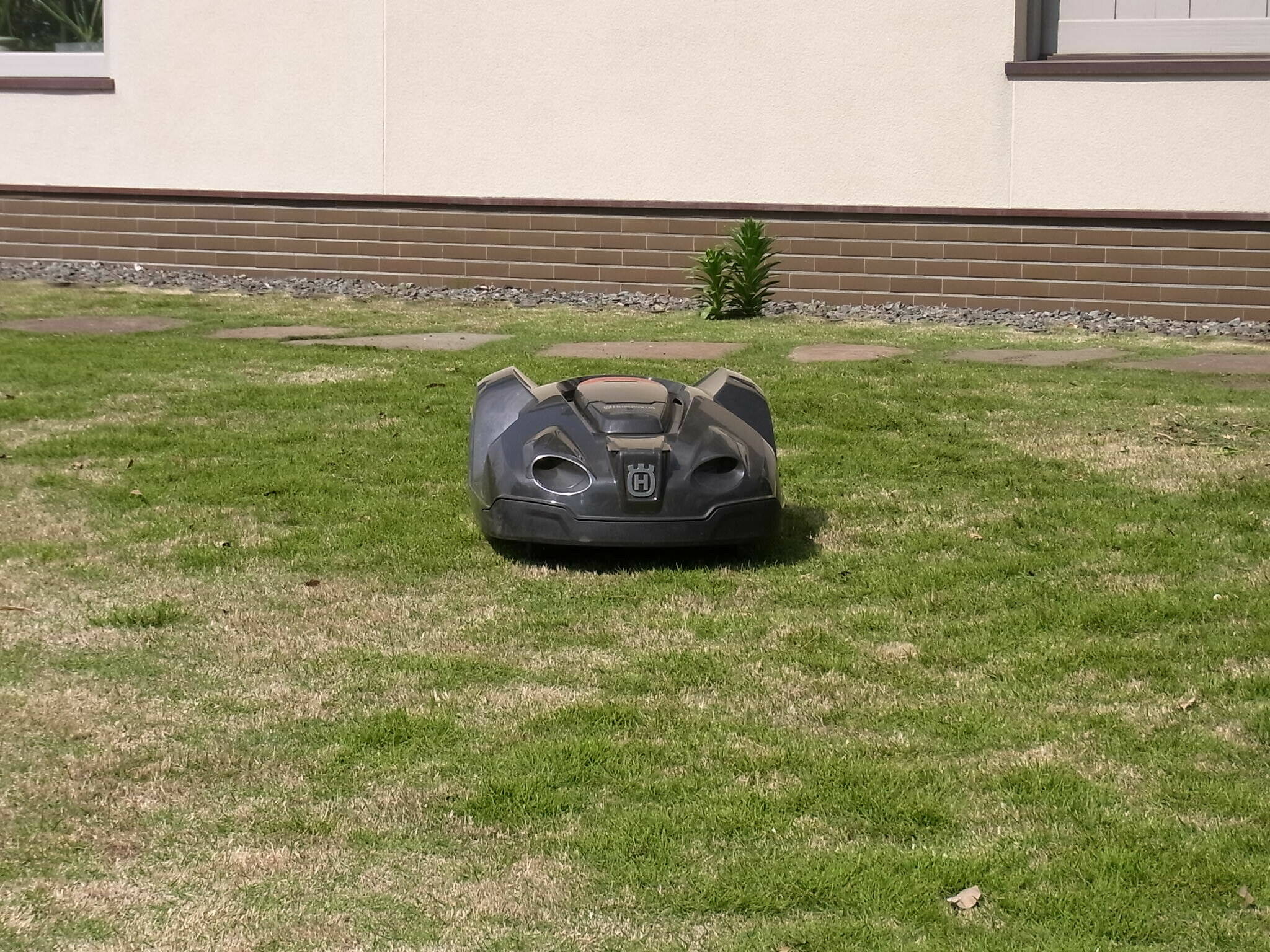 RIMG0045.jpg