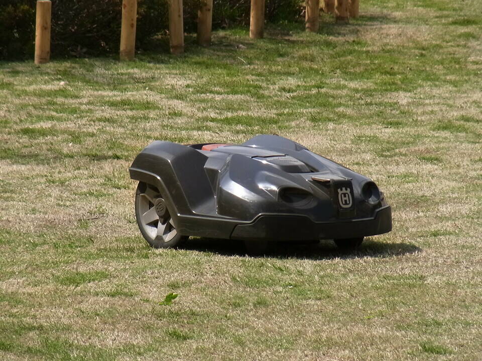 RIMG0051.jpg