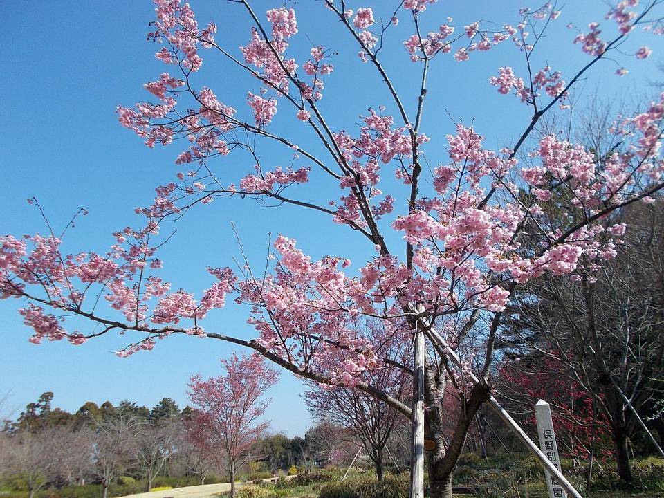 DSCN0123.jpg