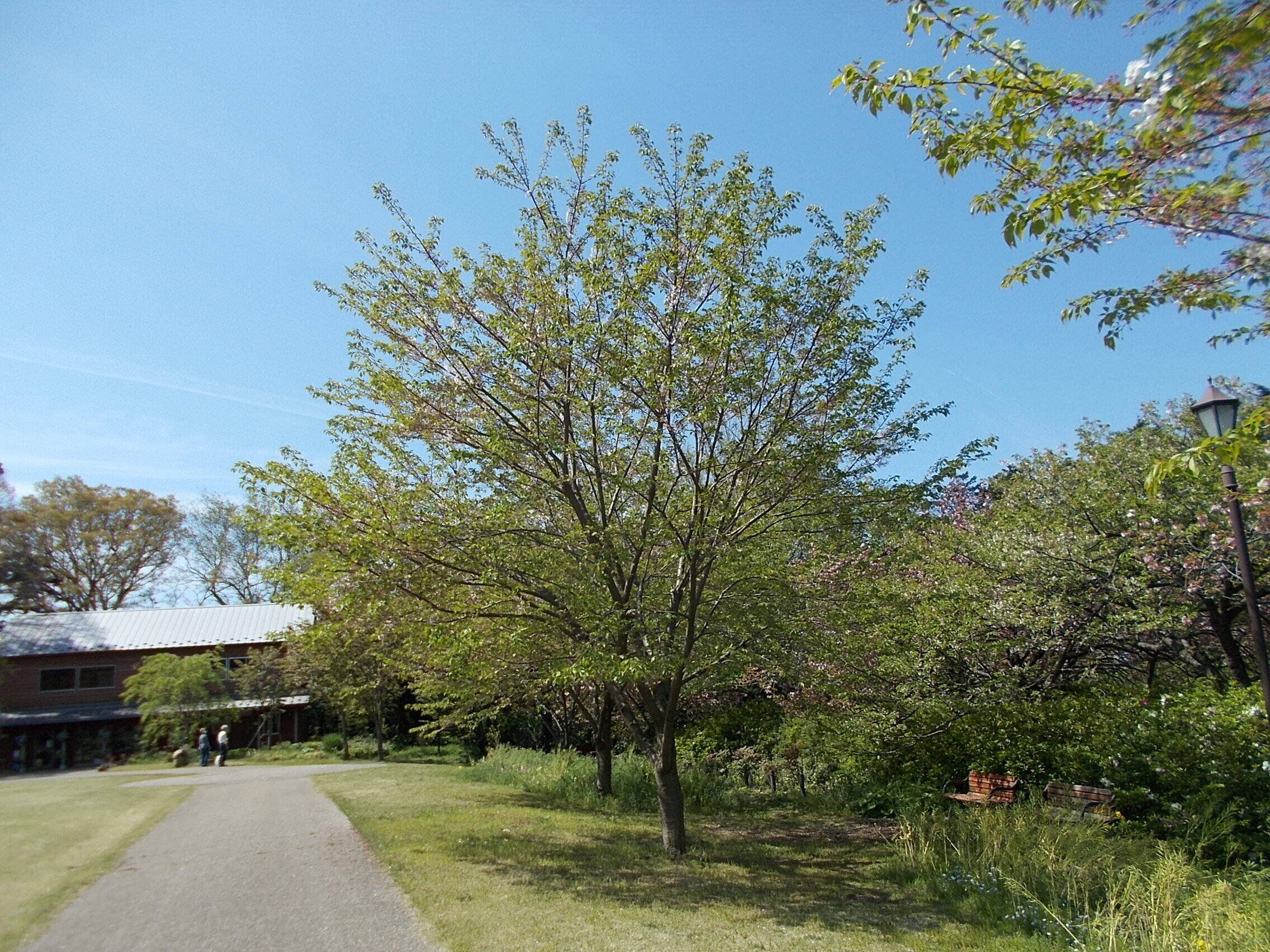 DSCN4901.jpg