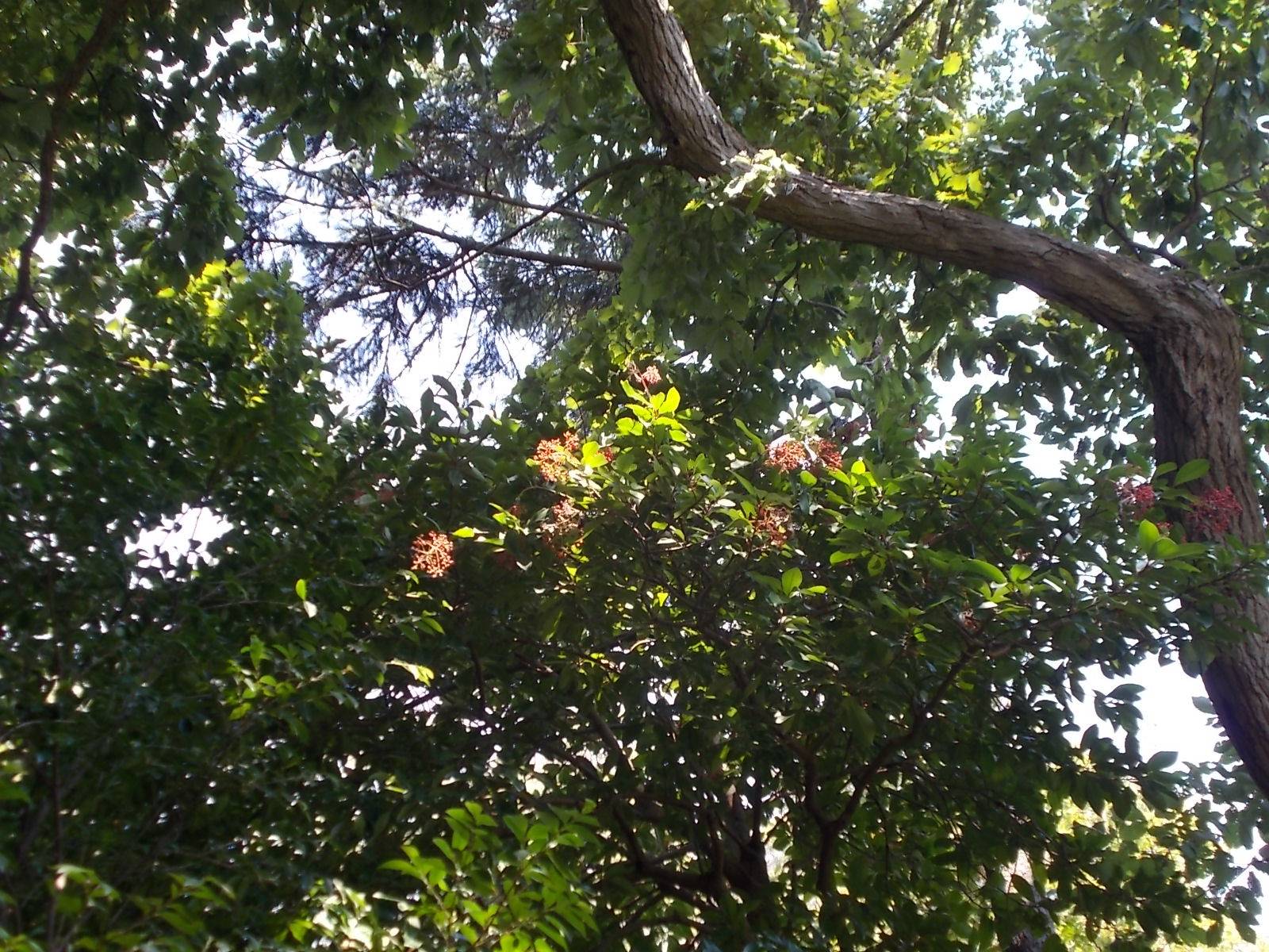 DSCN1064.jpg