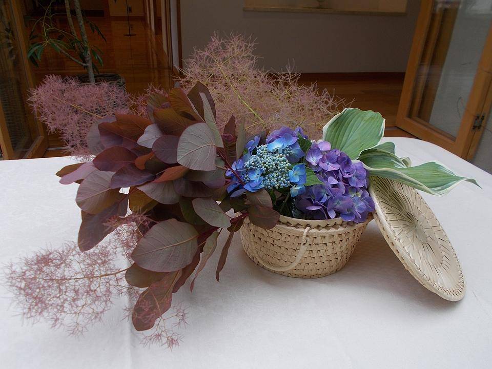 DSCN6083.jpg