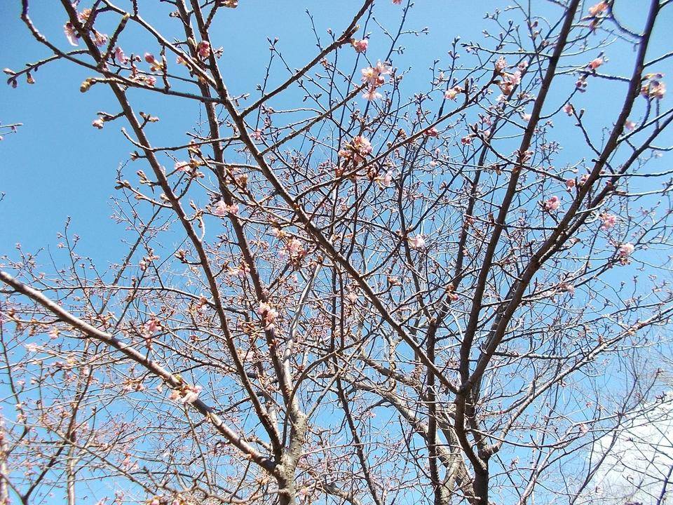 DSCN9739.jpg