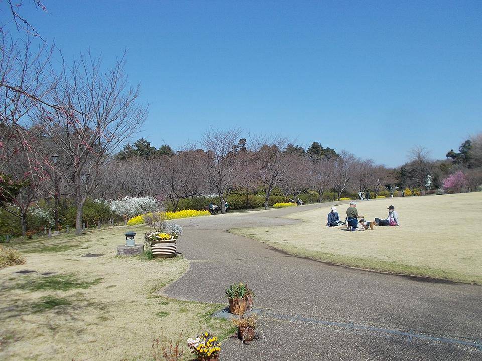 DSCN0165.jpg