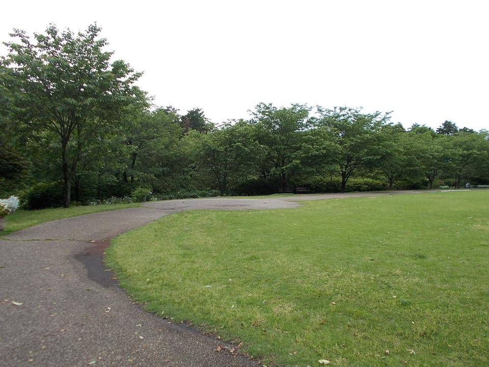 DSCN0834.jpg