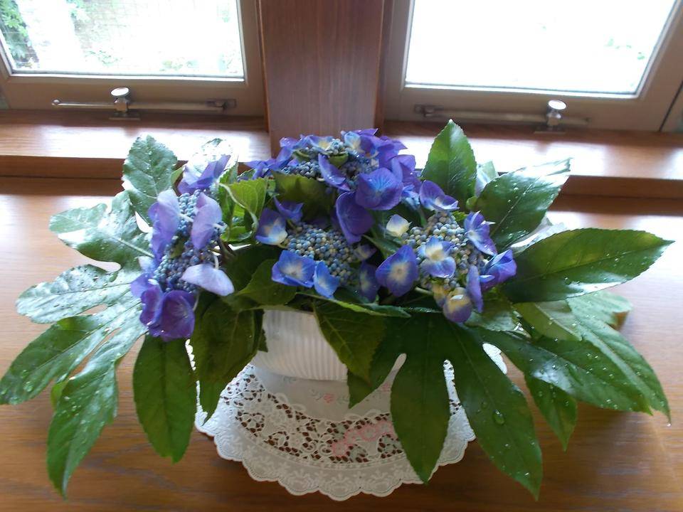 DSCN6090.jpg