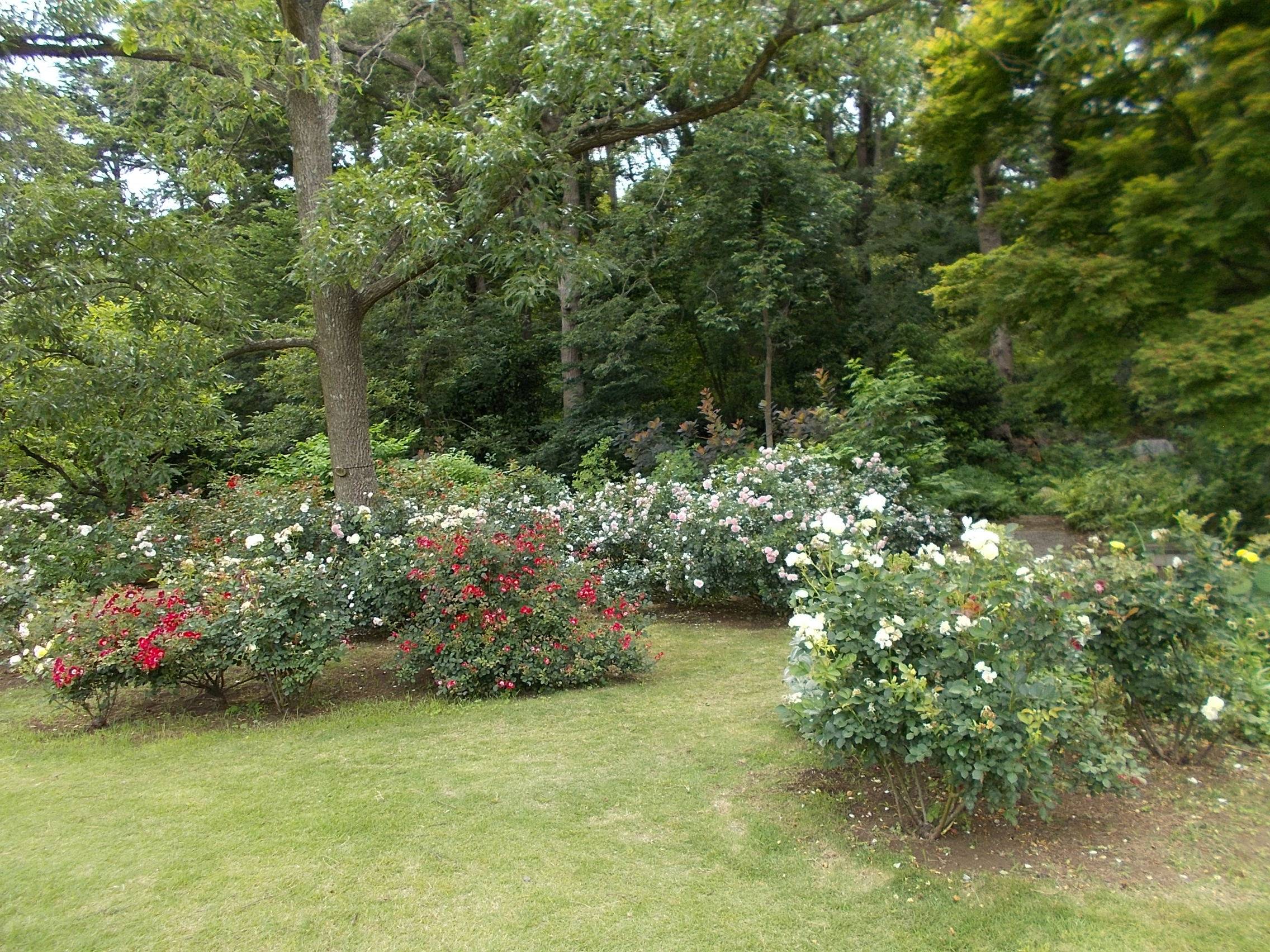 DSCN9905.jpg