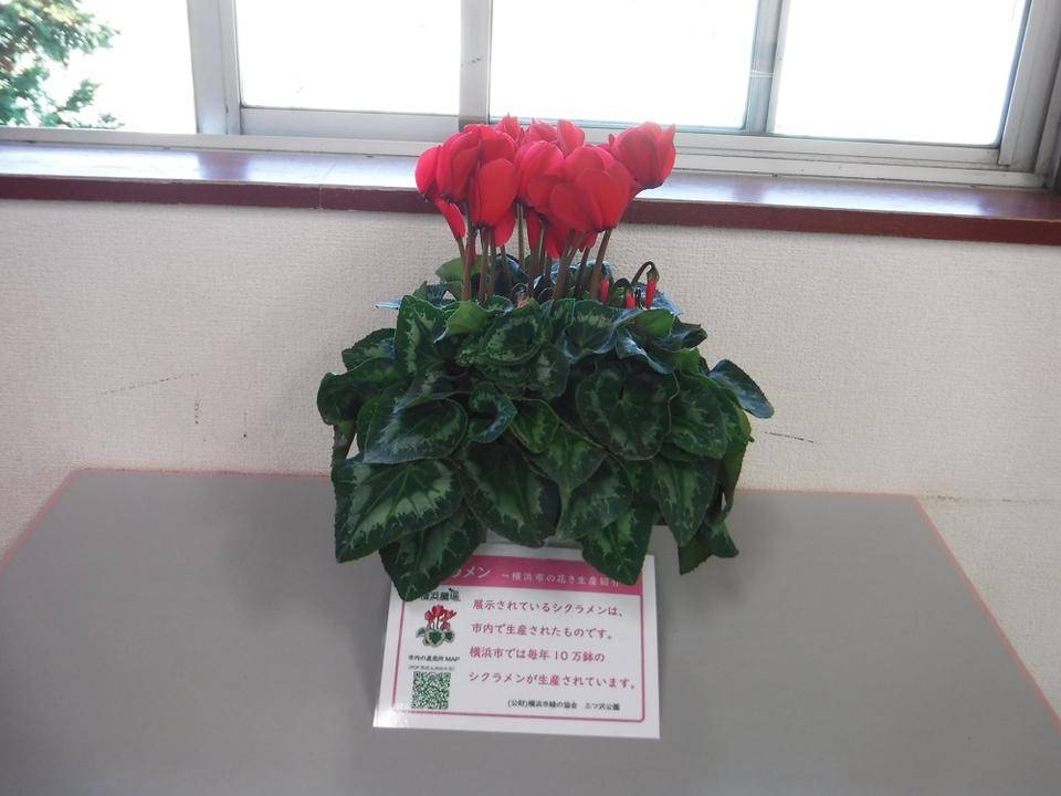 第二レスト休憩室2.jpg