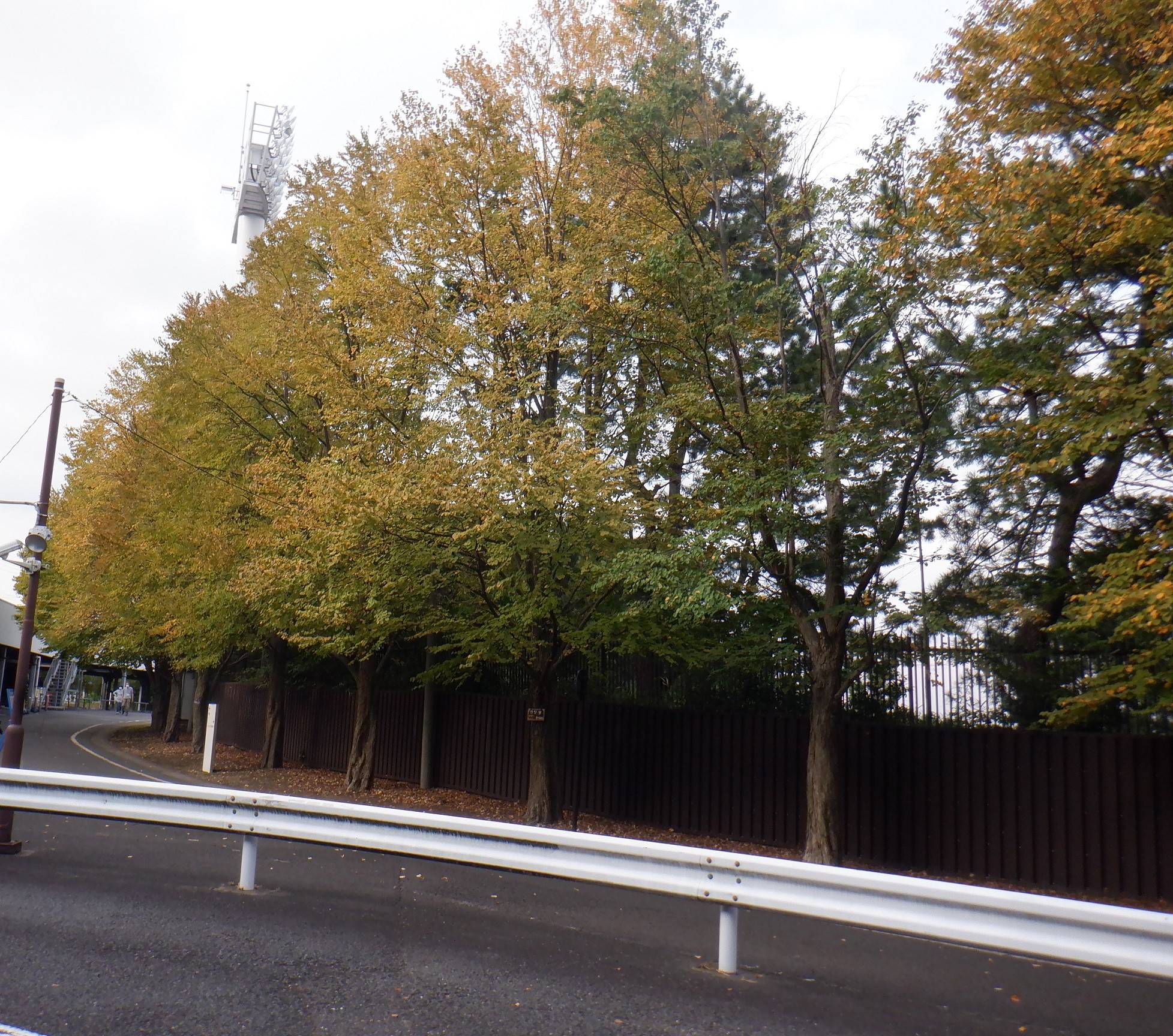 DSCF6151 10.7.jpg