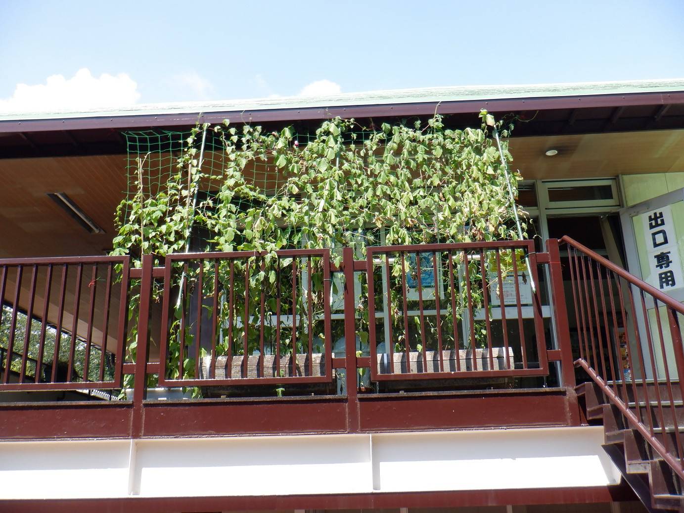 DSCF5842 - 第二レストハウス ブログ.jpg