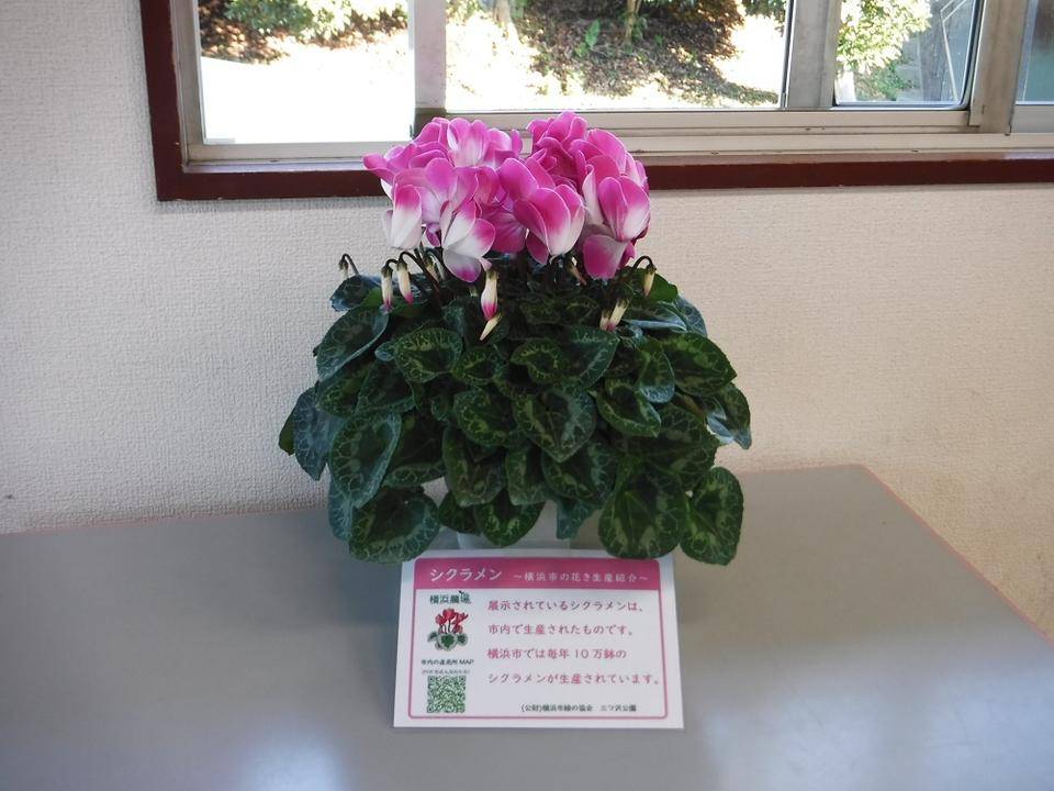 第二レスト休憩室1.jpg