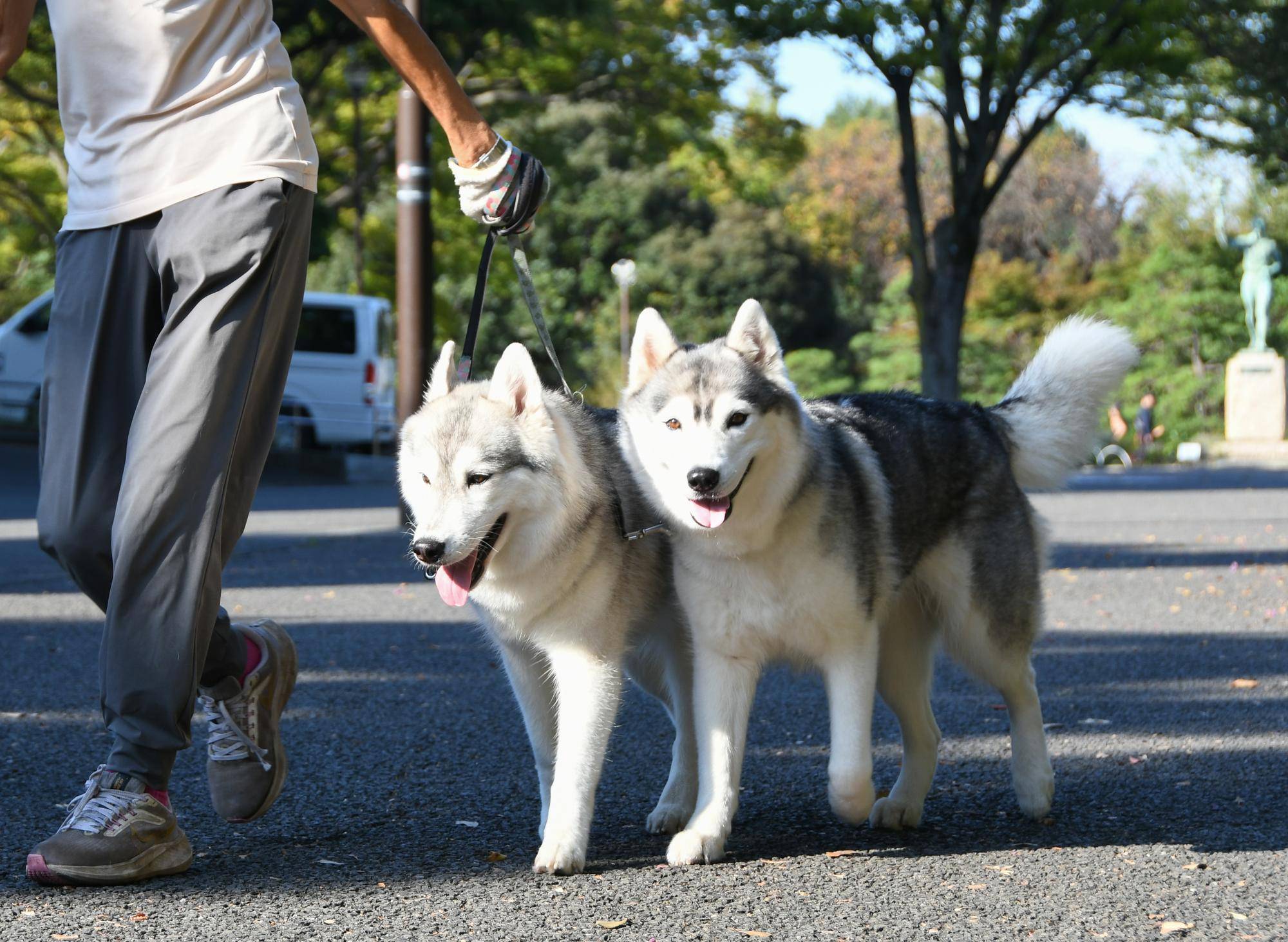 DSC_5552.jpg