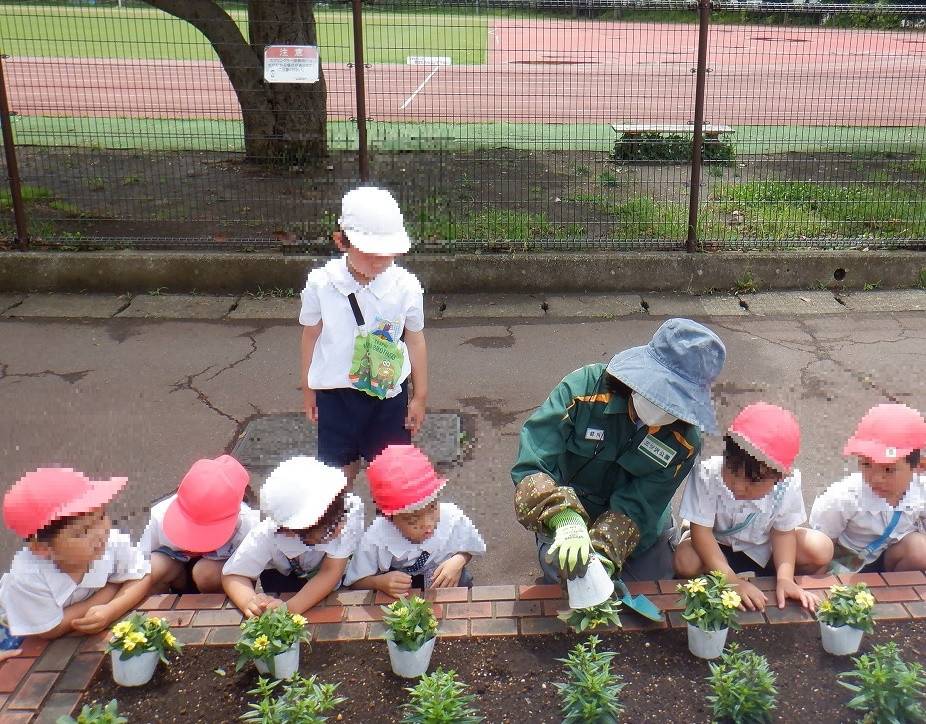 夏の花植え レンガ花壇 ブログ 三ツ沢公園公式サイト 公益財団法人 横浜市緑の協会